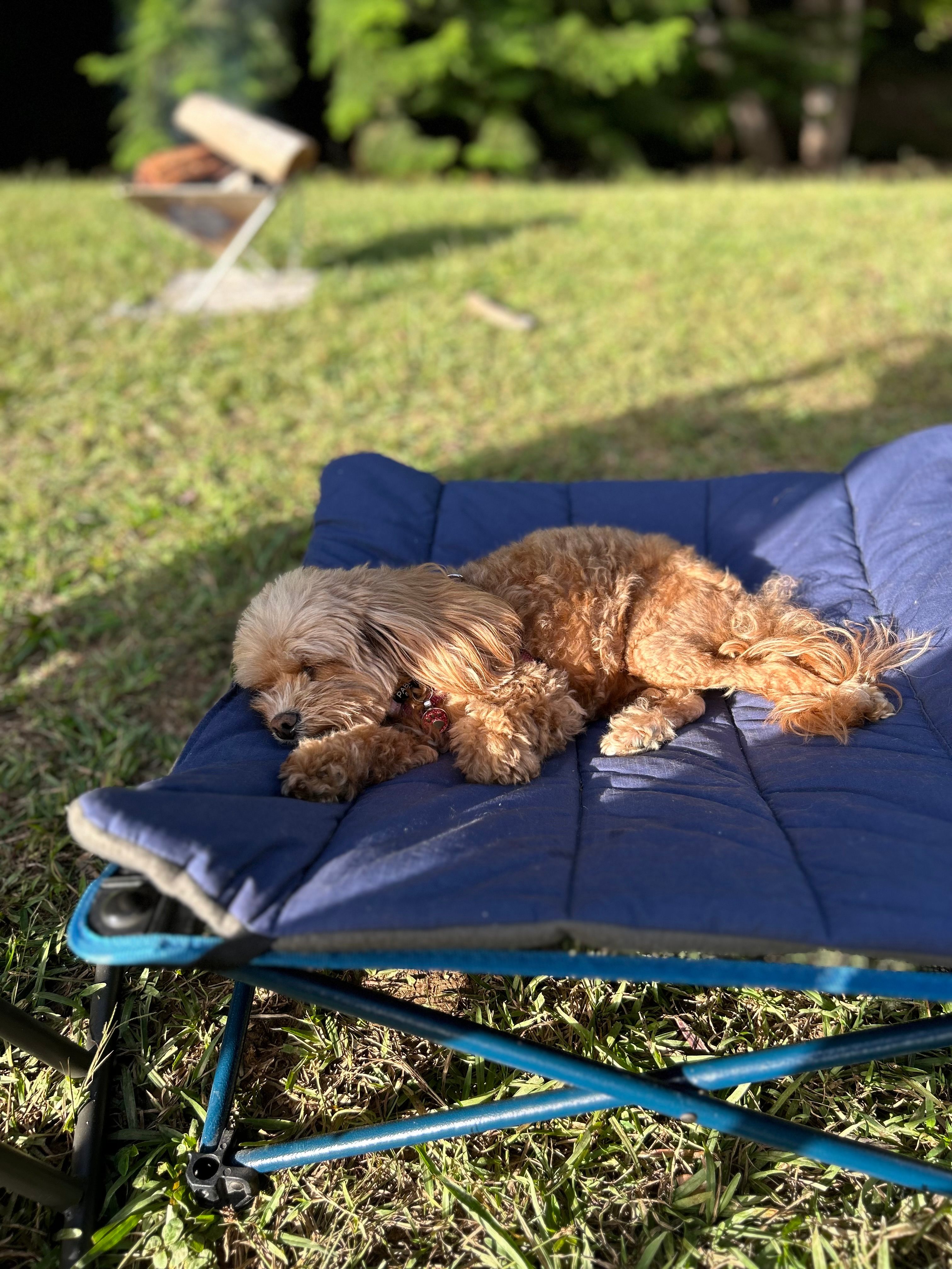 The Sleepy Hollow Manor Estate