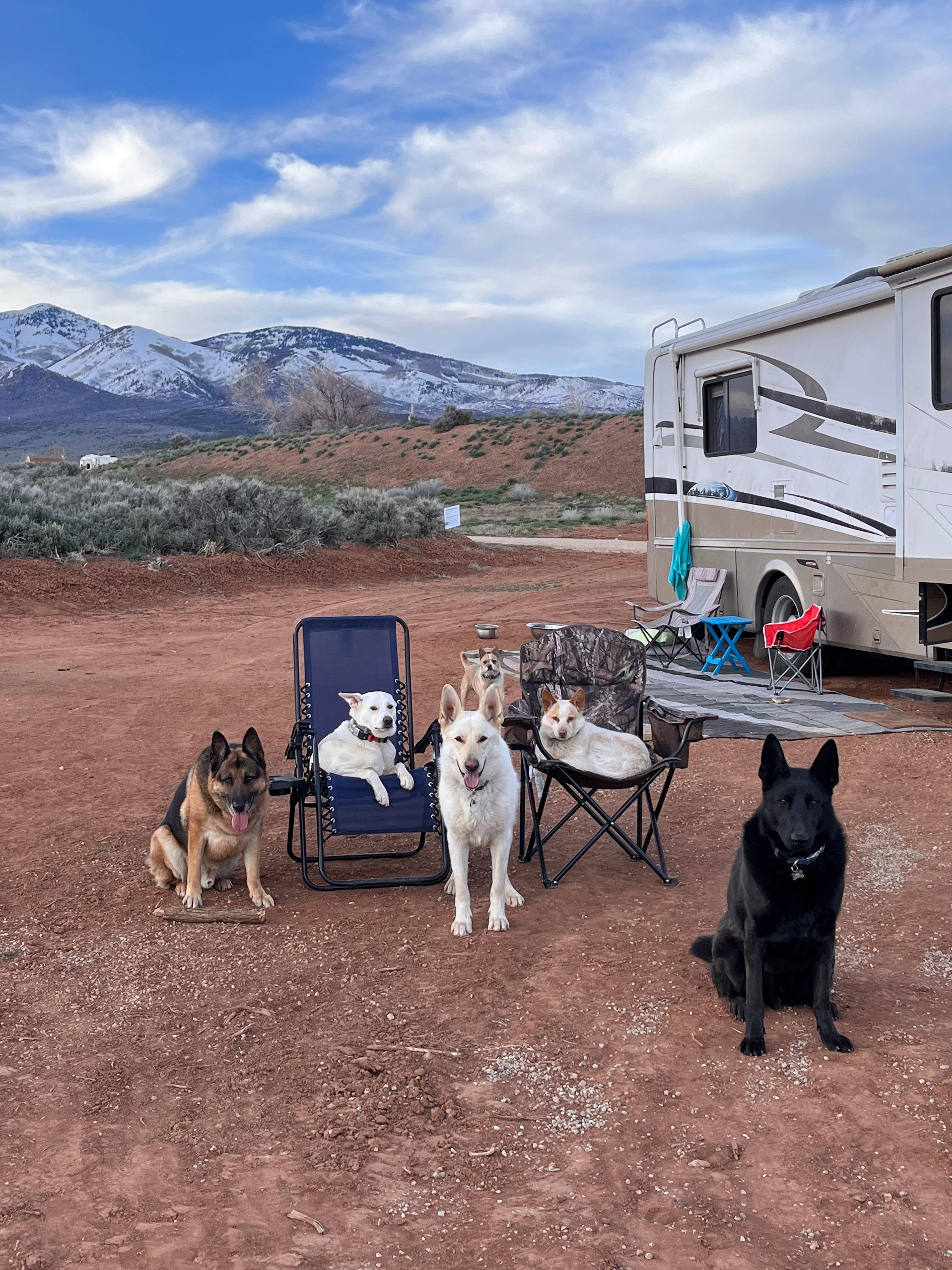 South-40@LaSal Tent and RV Park