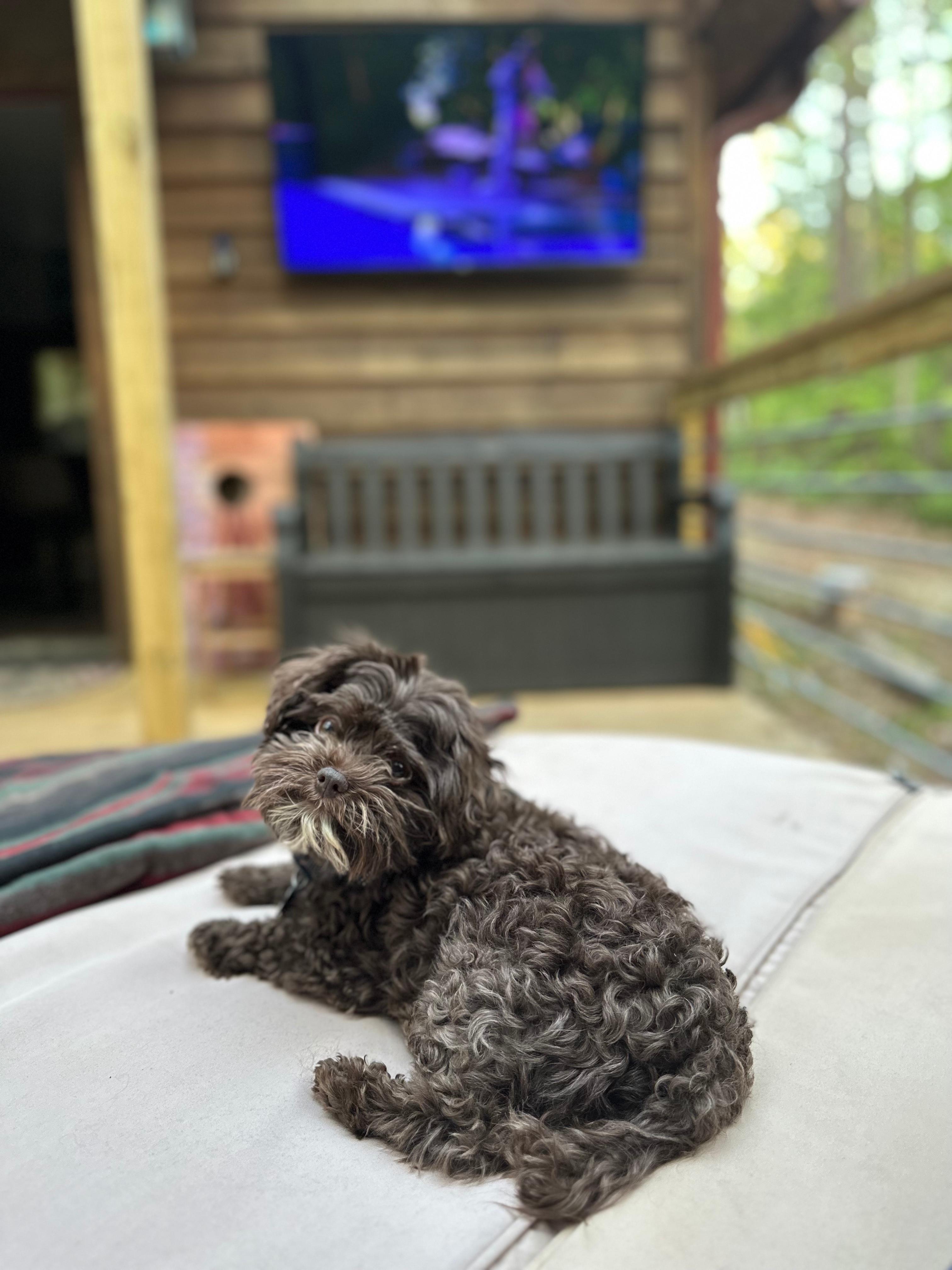 Creekside Cabin at Lake Hartwell