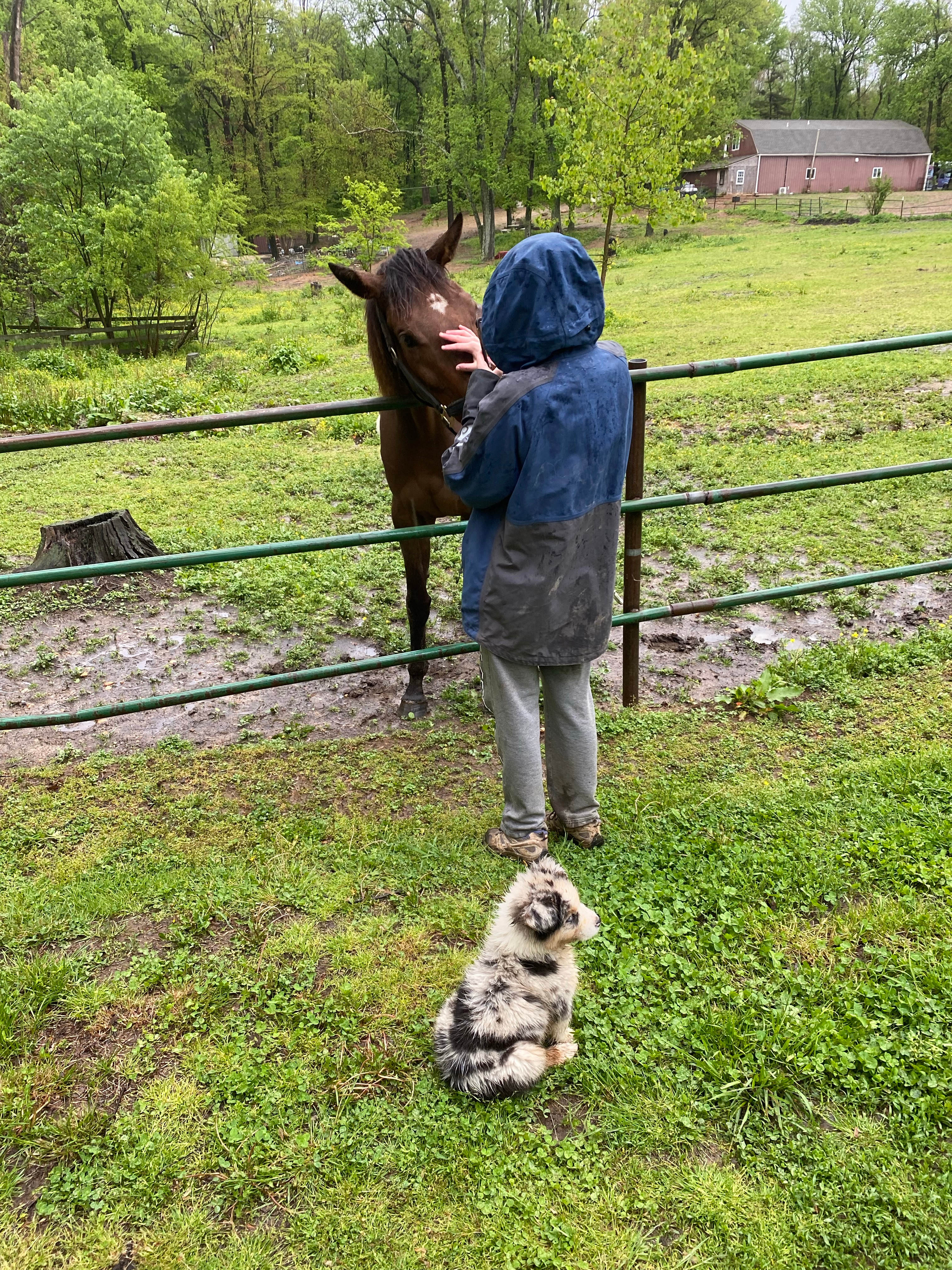 Horse Farm Camping