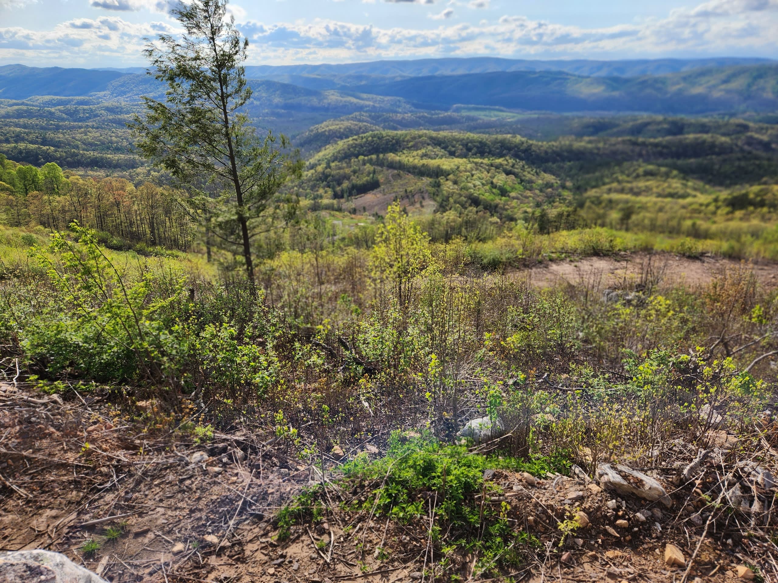 Ultimate private camping