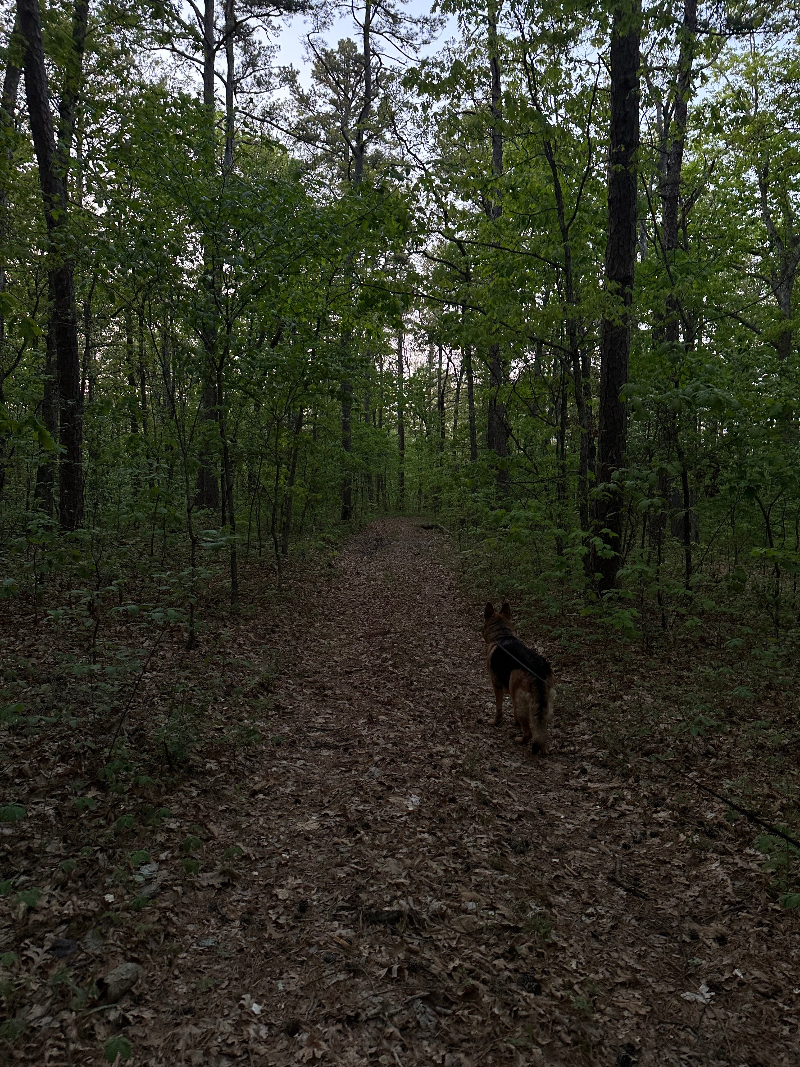 BEAUTIFUL SECLUDED CAMPSITE