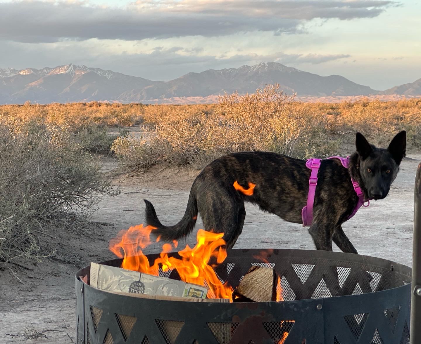 Sandhill Desert Ranch