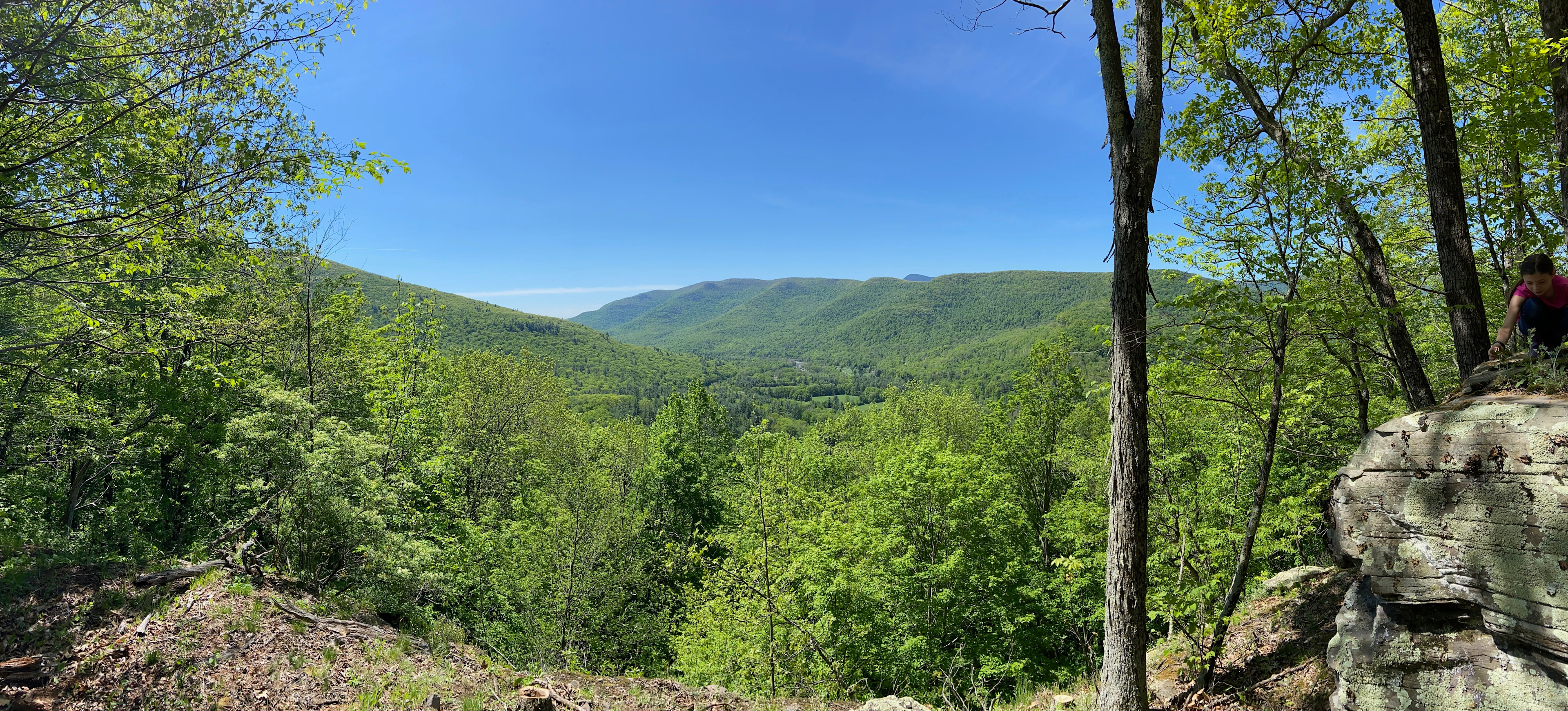 Terrace Farm Phoenicia