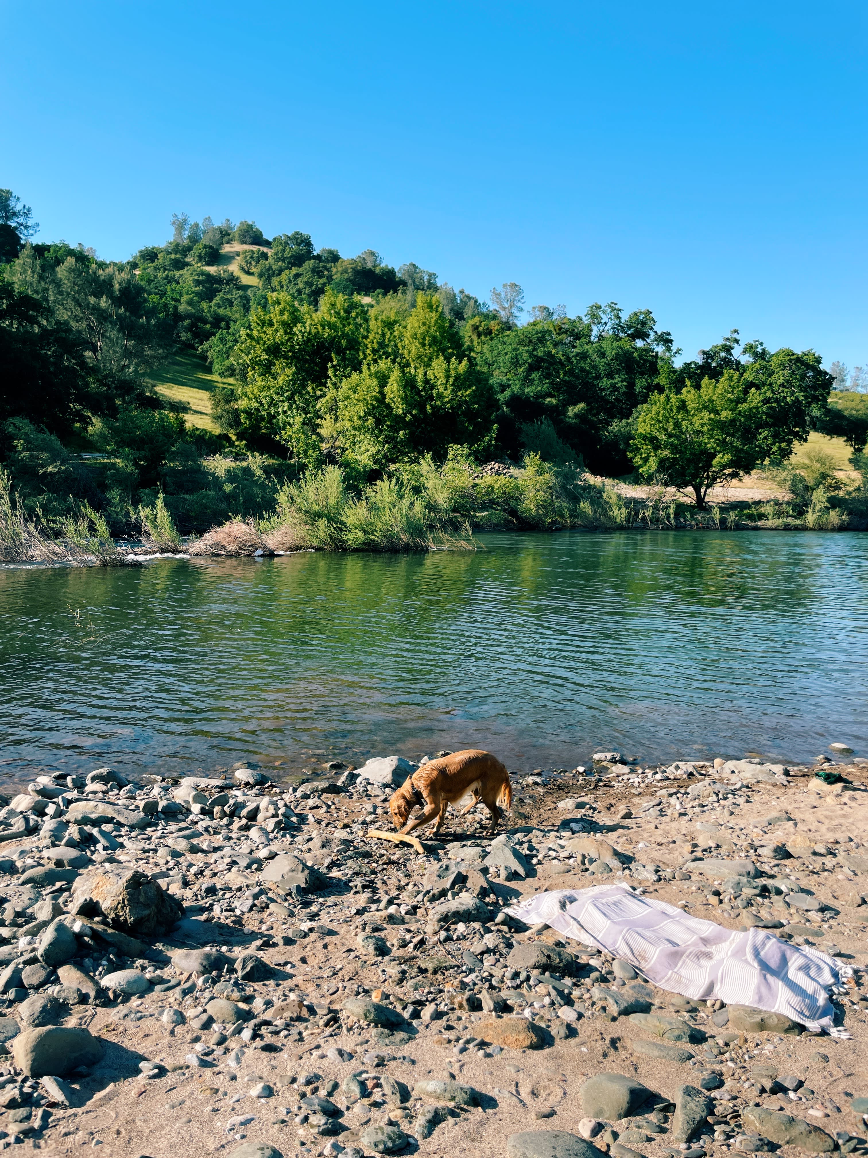 Cosumnes River Ranch