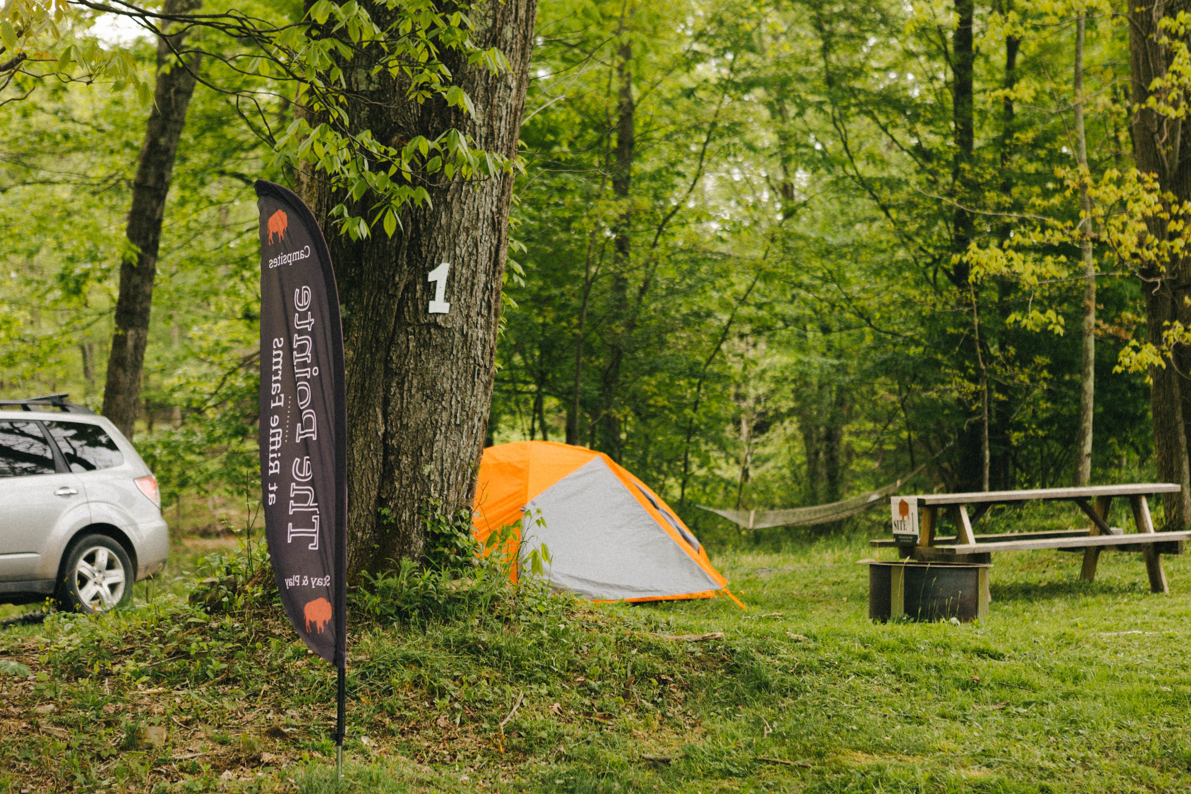 campsite 1 