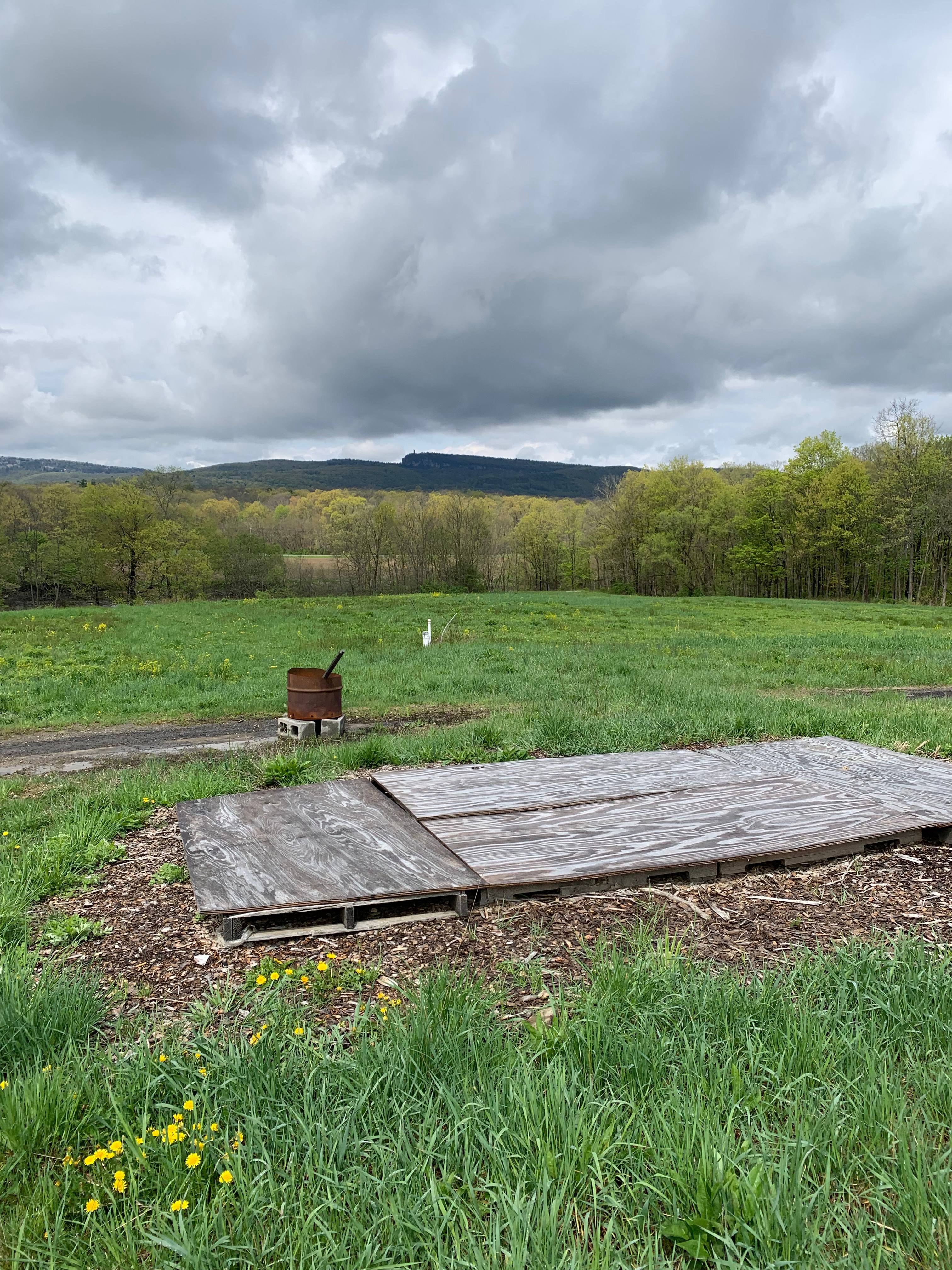 Taliaferro Farms