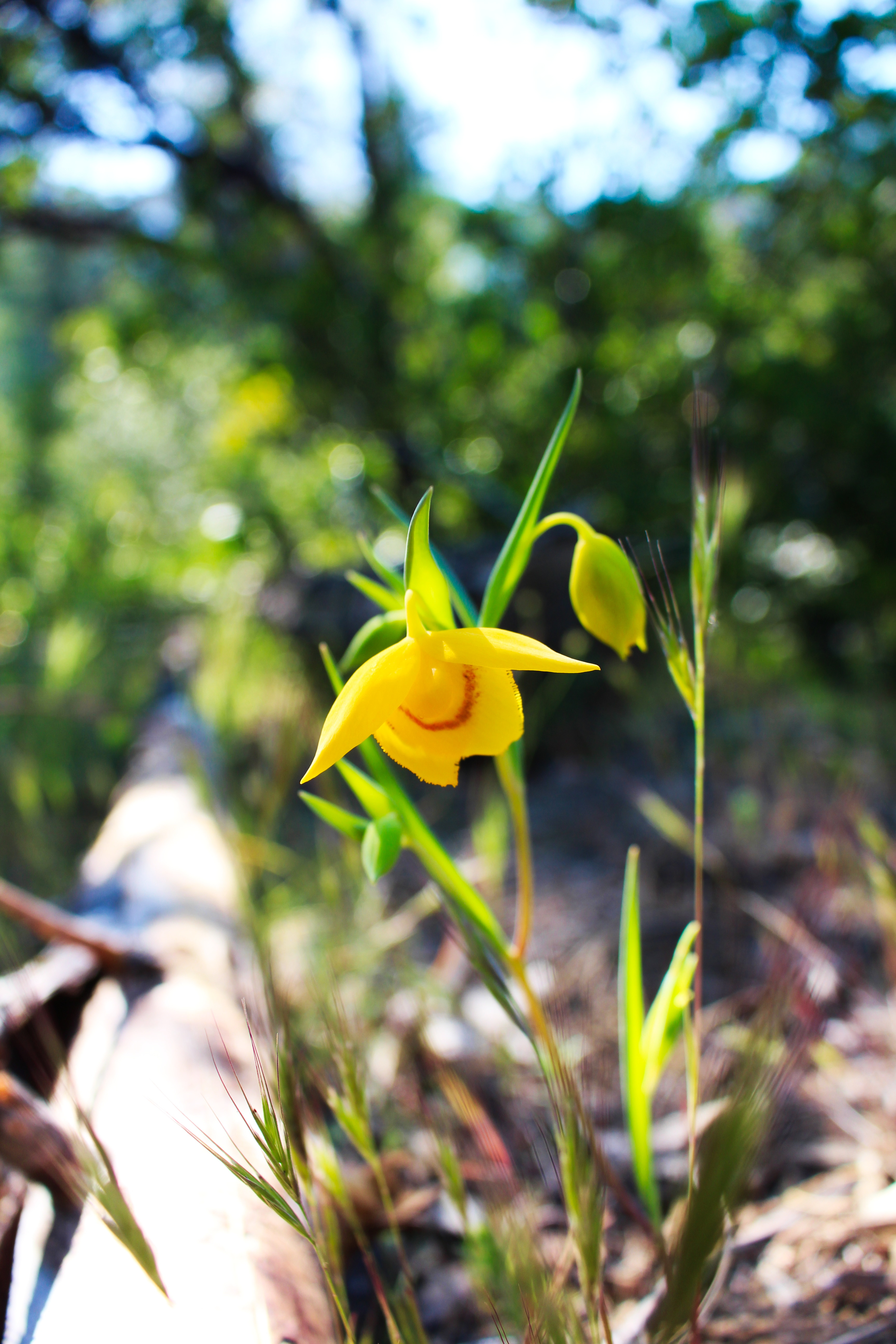 Ettawa Springs Resort