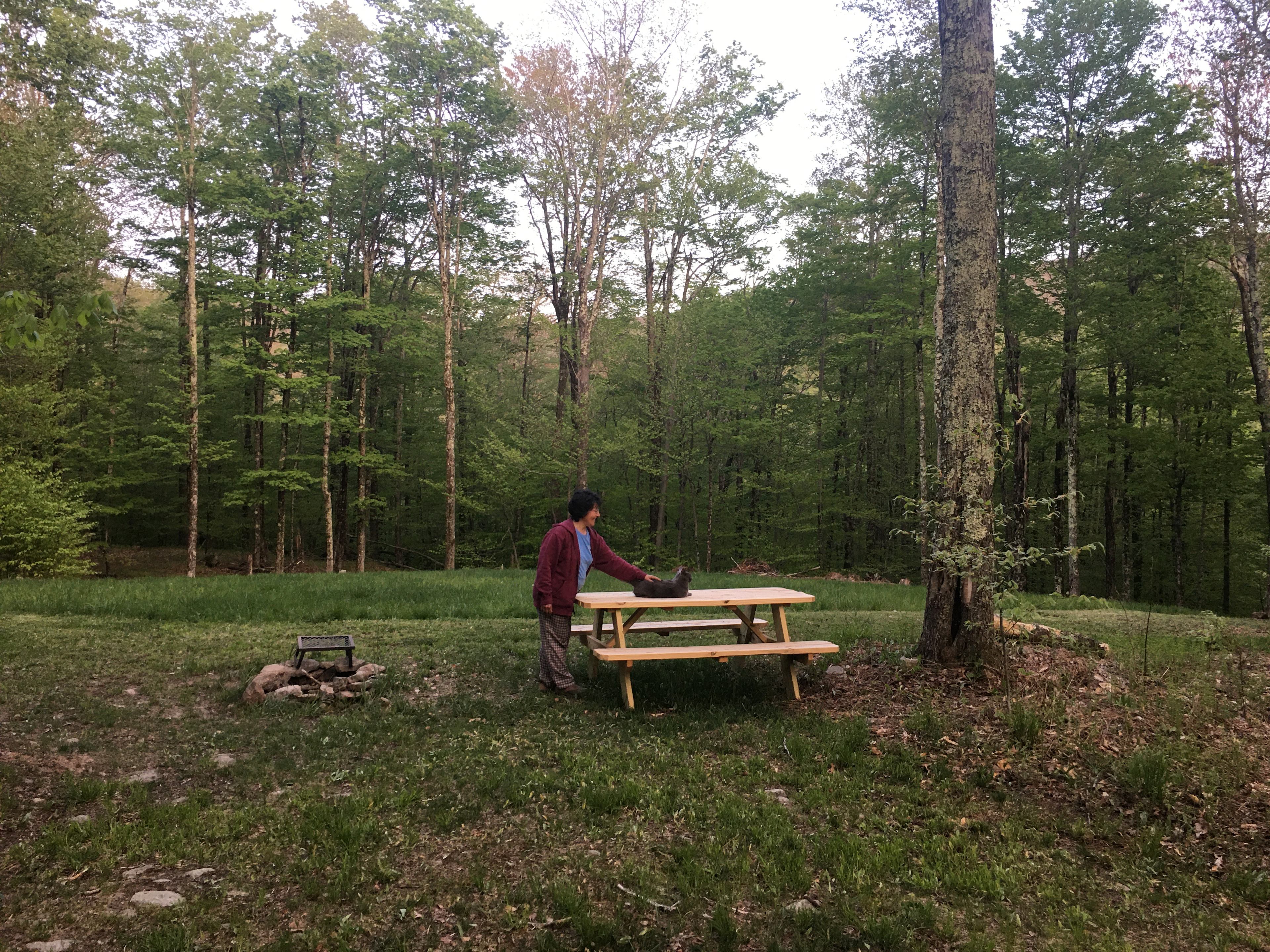 Burr Oaks Forest secluded campsites