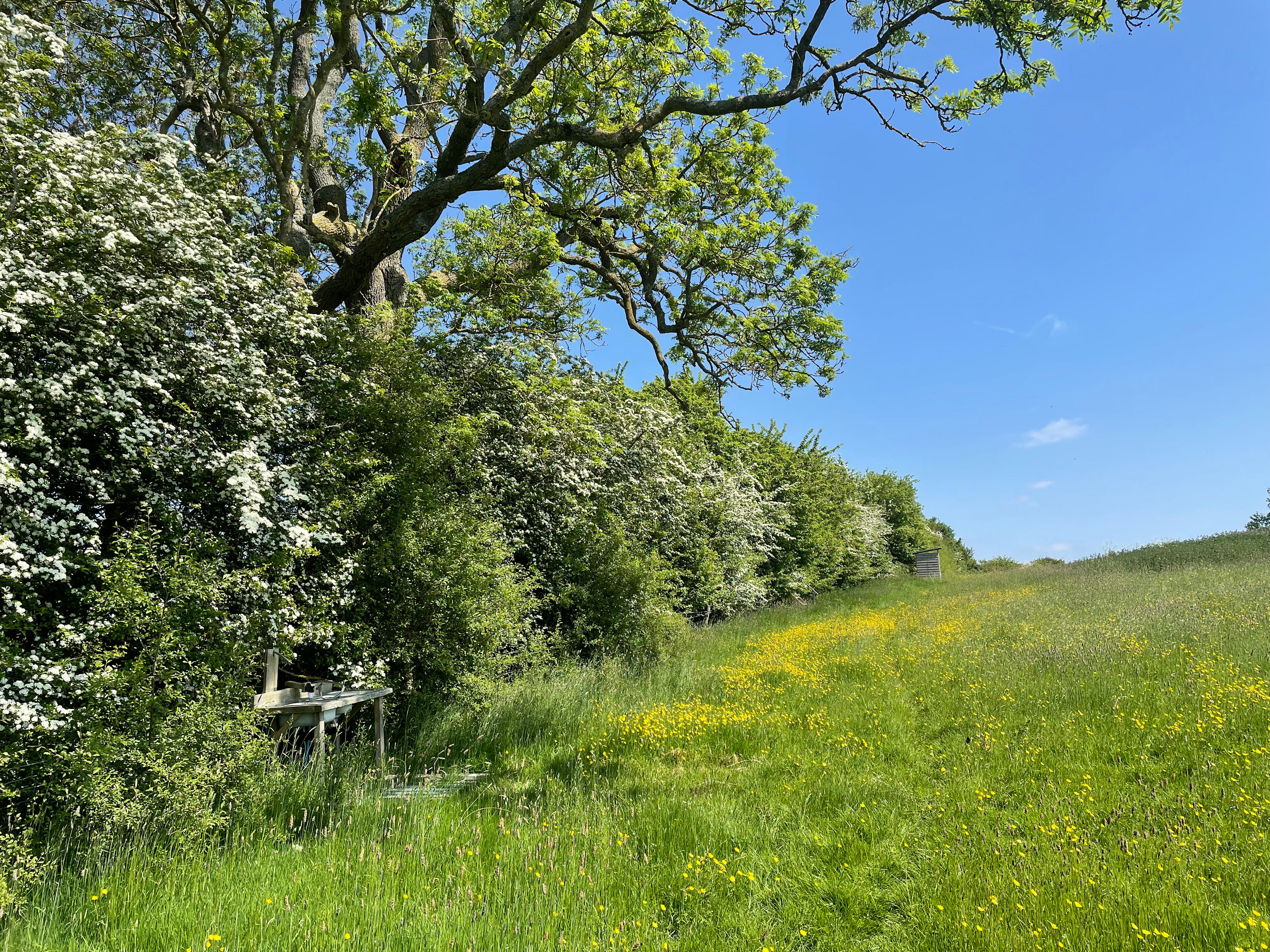 Pitchcott Farm