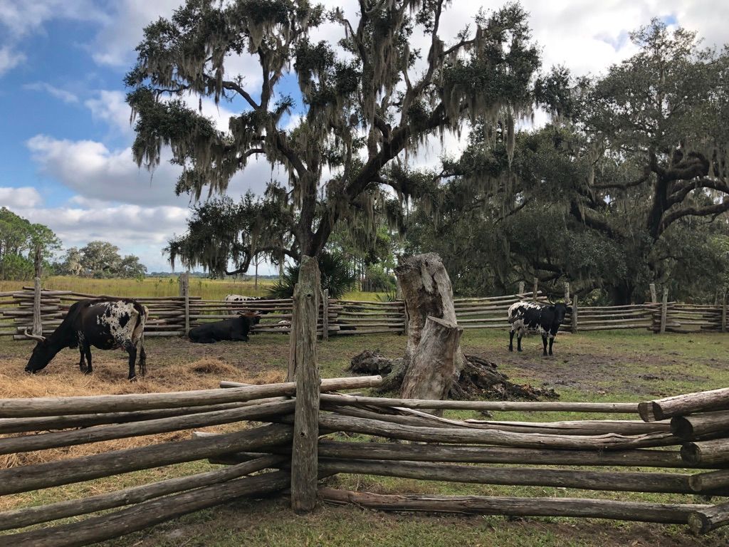 P3 Lake Kissimmee State Park Glamping
