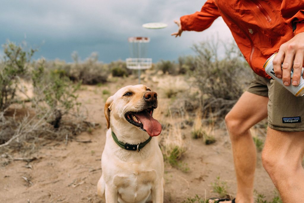 Ramble at Great Sand Dunes NP