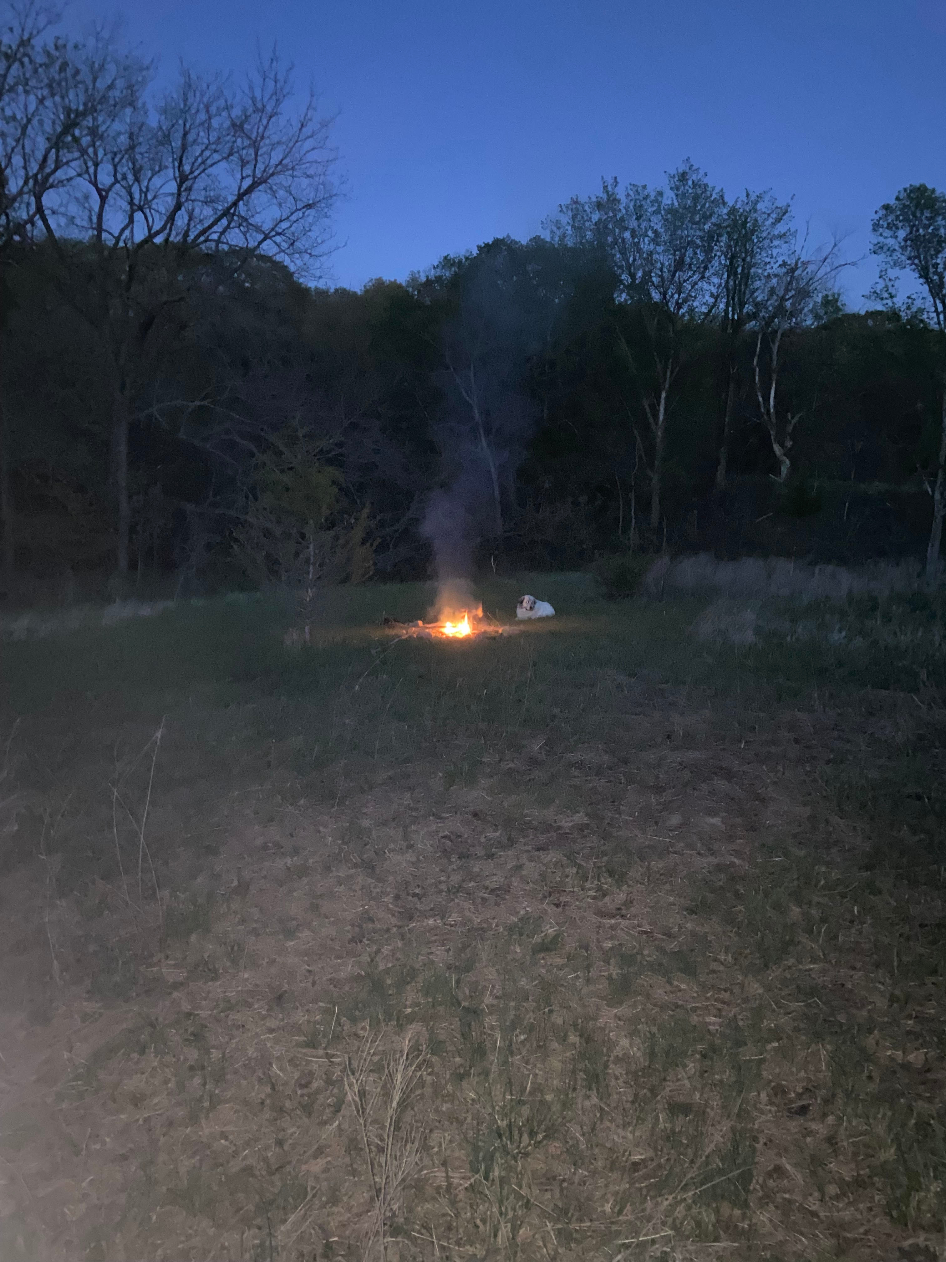Roots, Fruits & Greens Farm