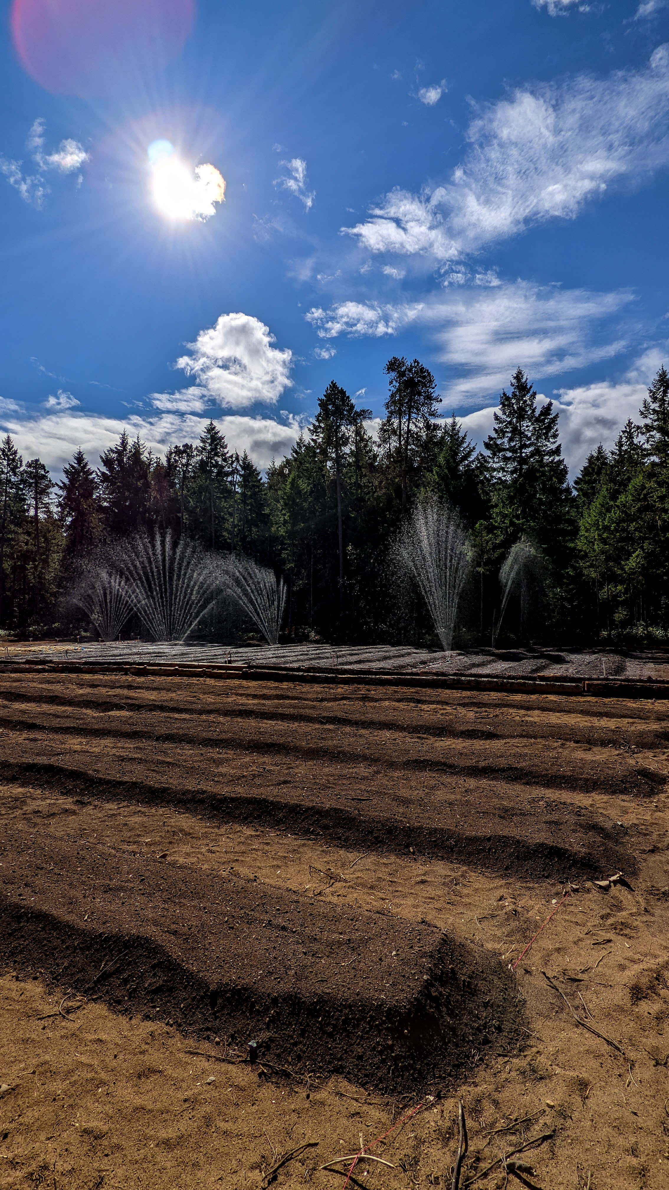 Flower Beds Farm