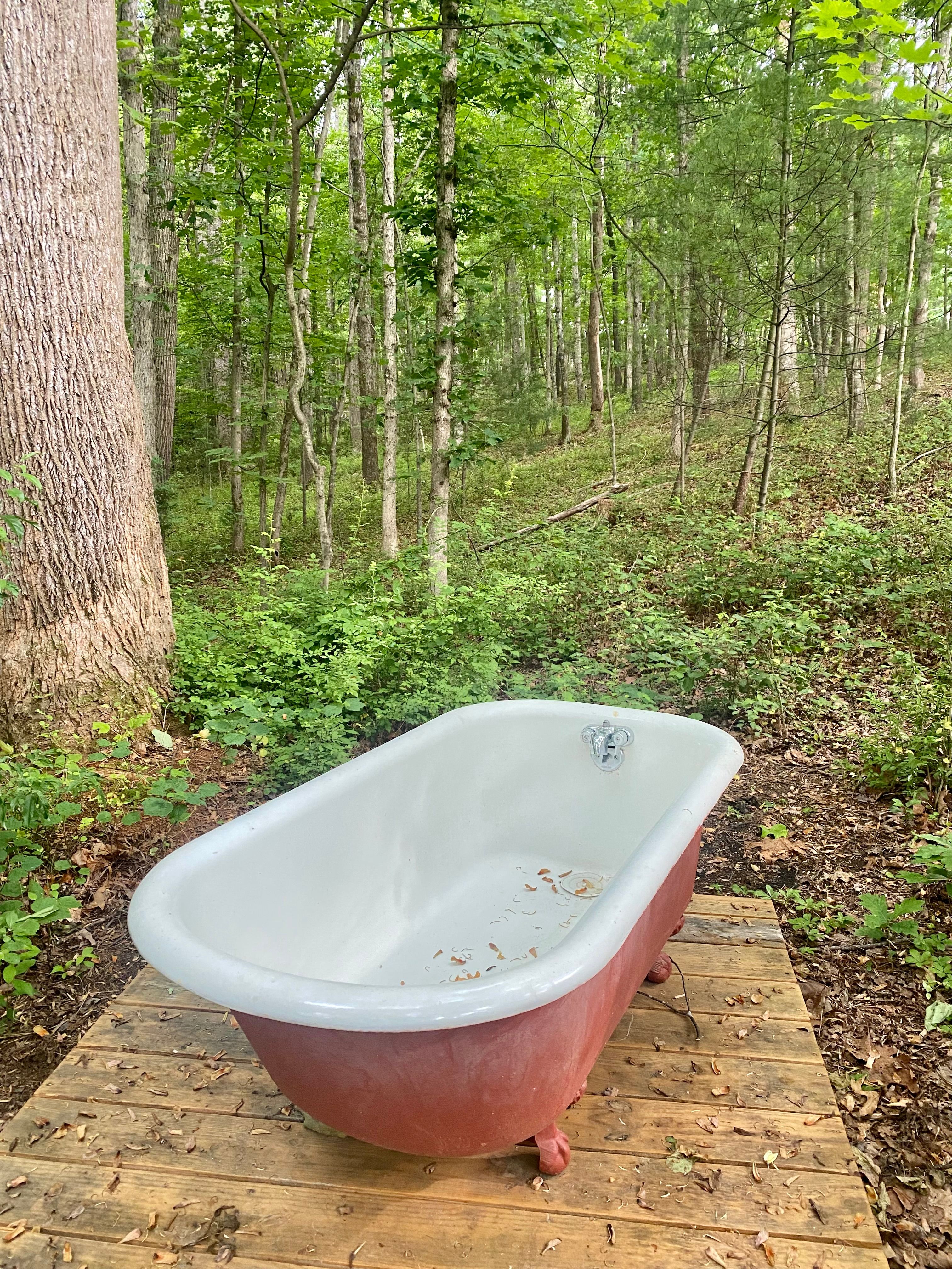 Magic at Galleywinter