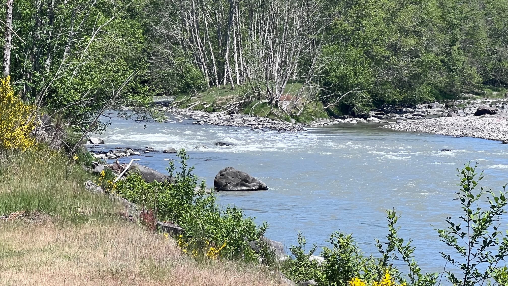 Looking upriver