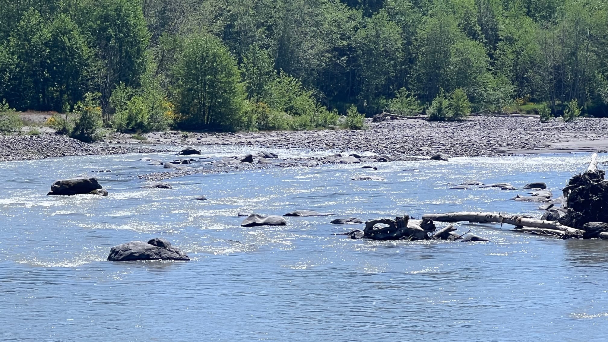 Otter Pond Riverfront Getaway