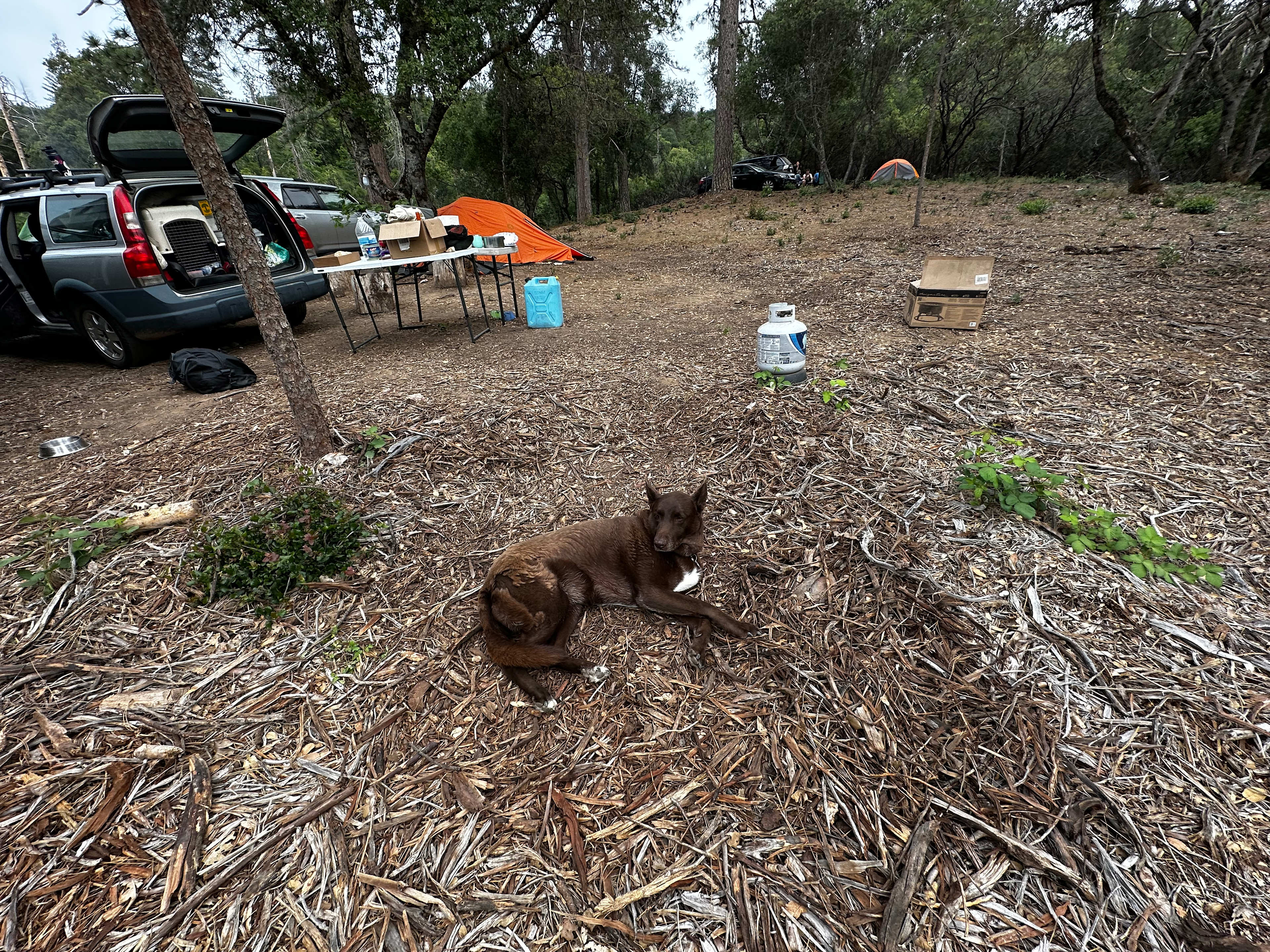 Robinson Mine Basecamp