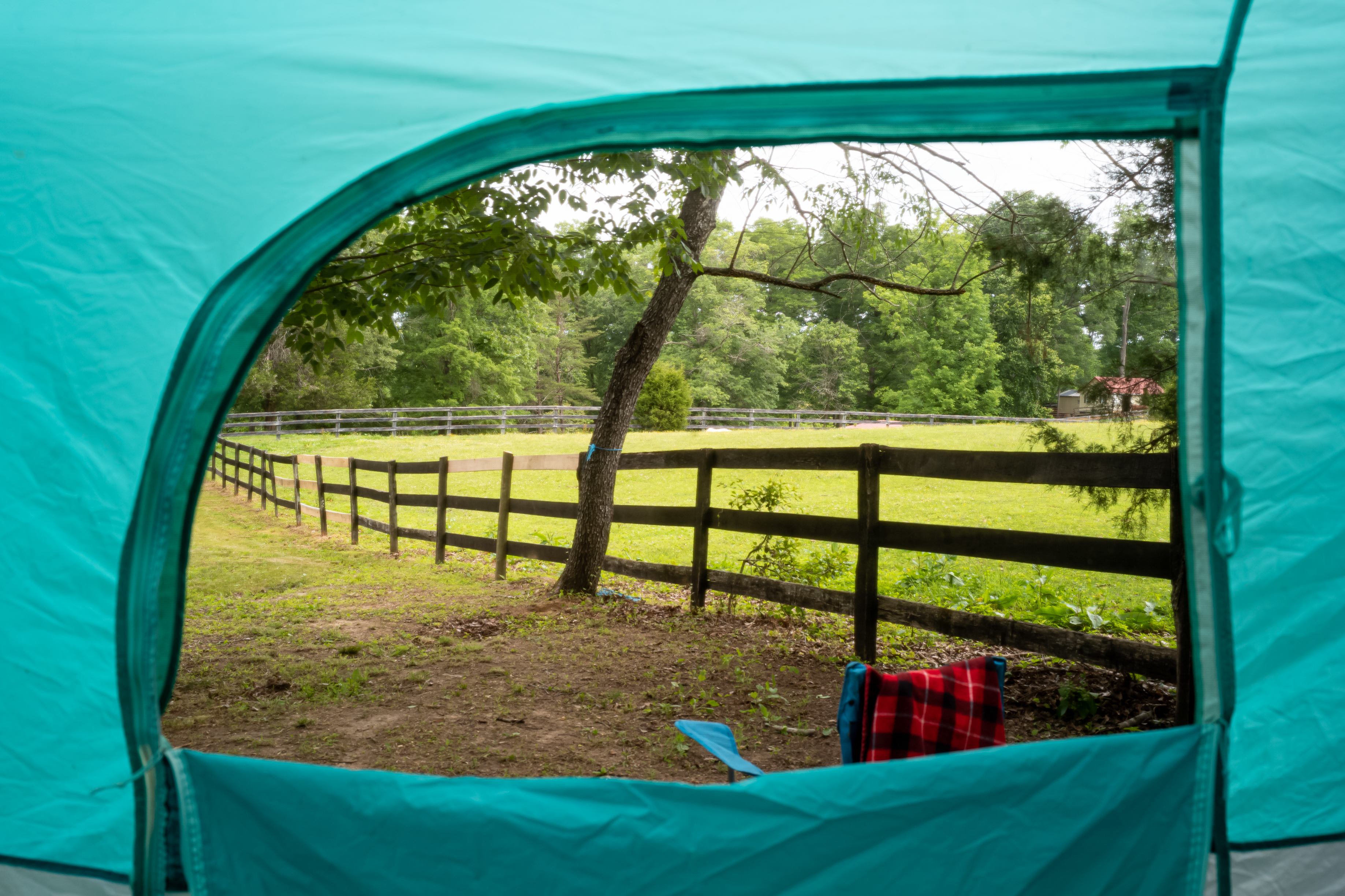 View to horses from site 1