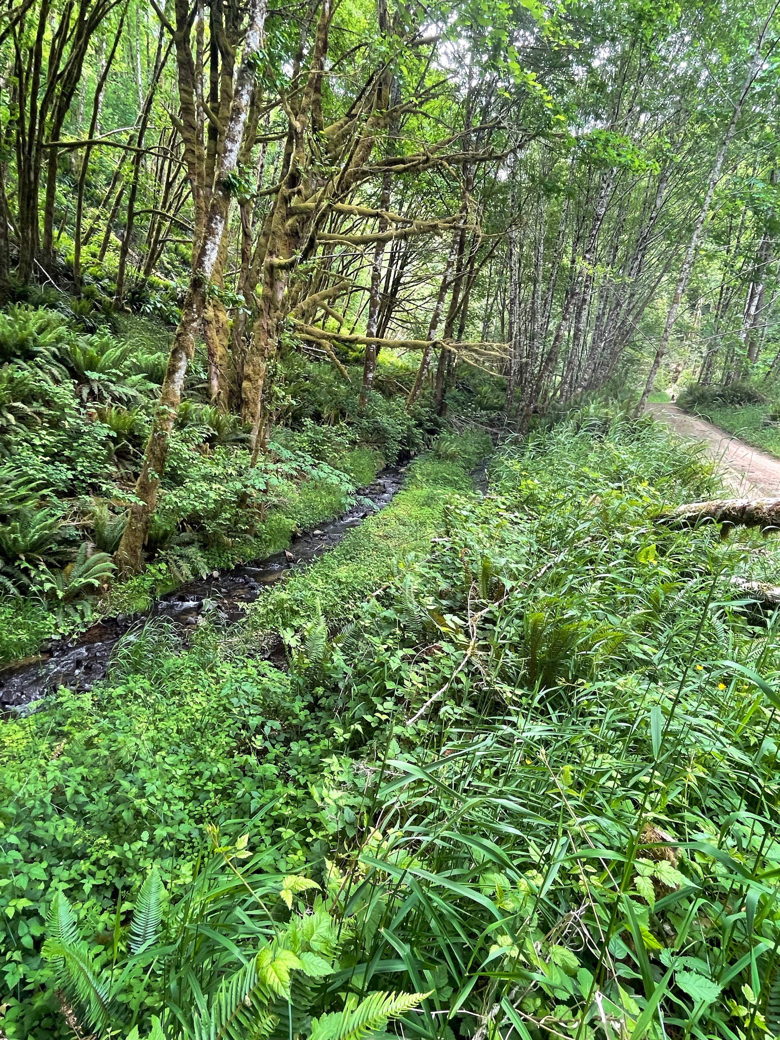Favorite Creek Campground