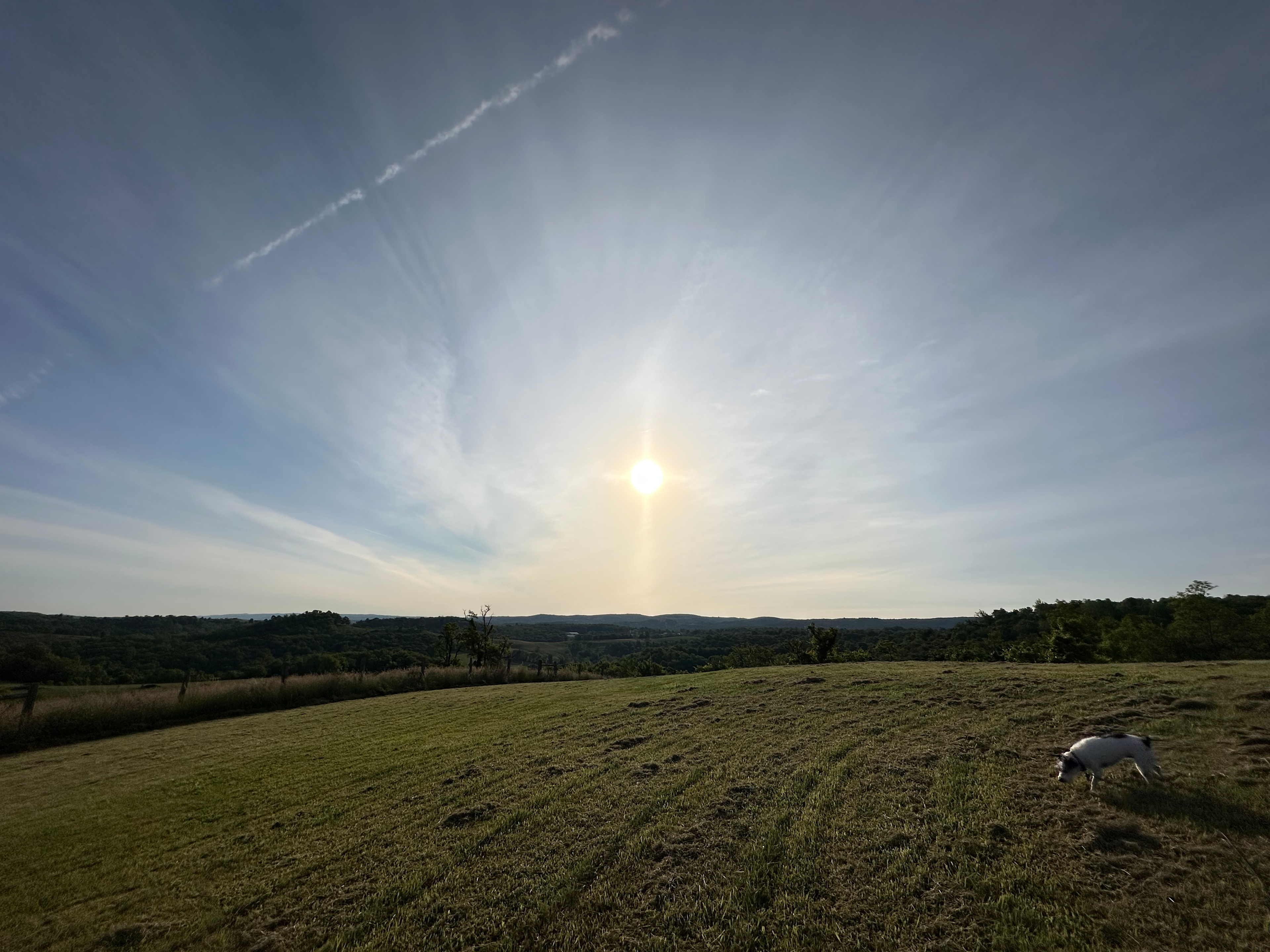 Mountains of Morgantown 💙💛