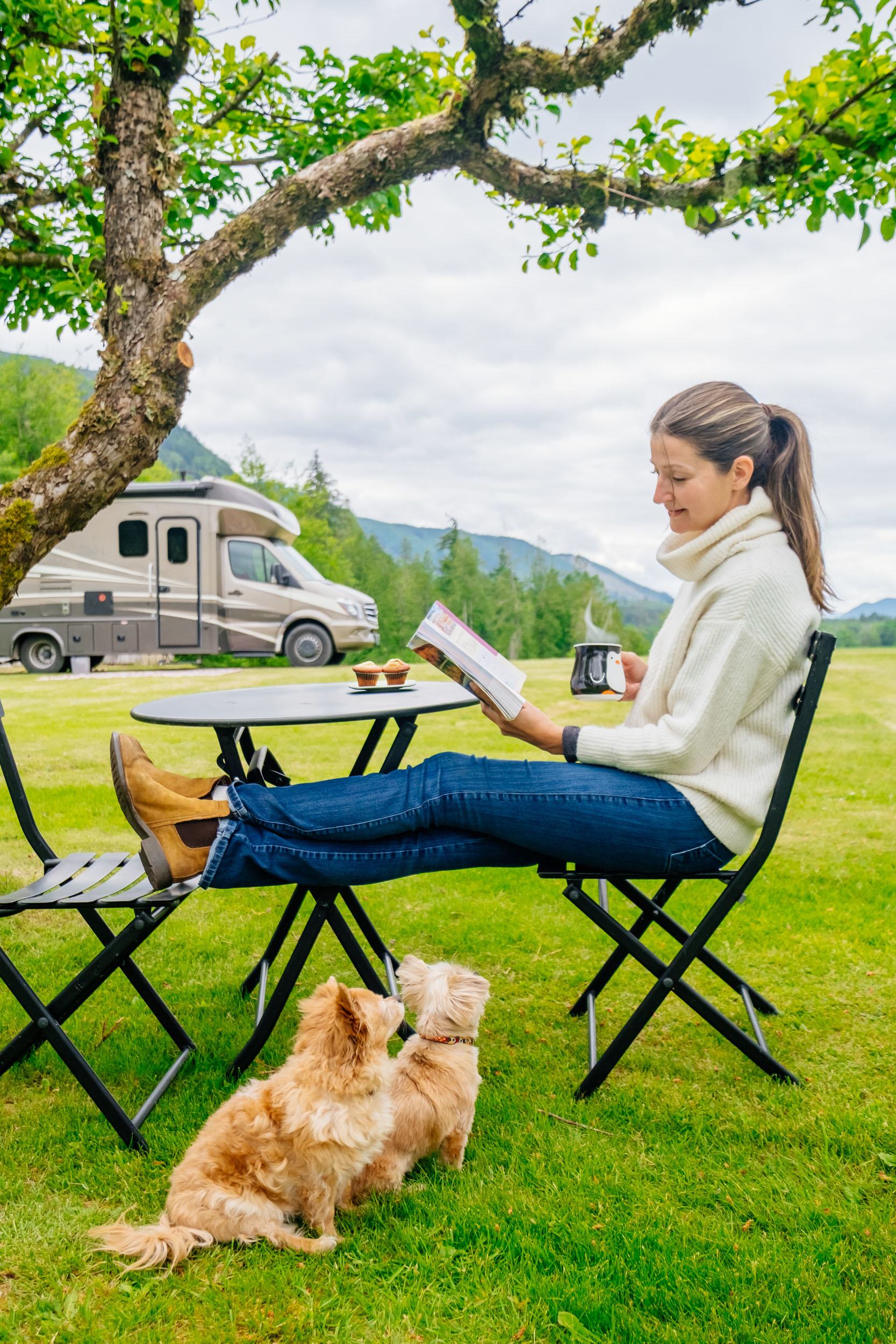 Enjoying the cafe table under the trees