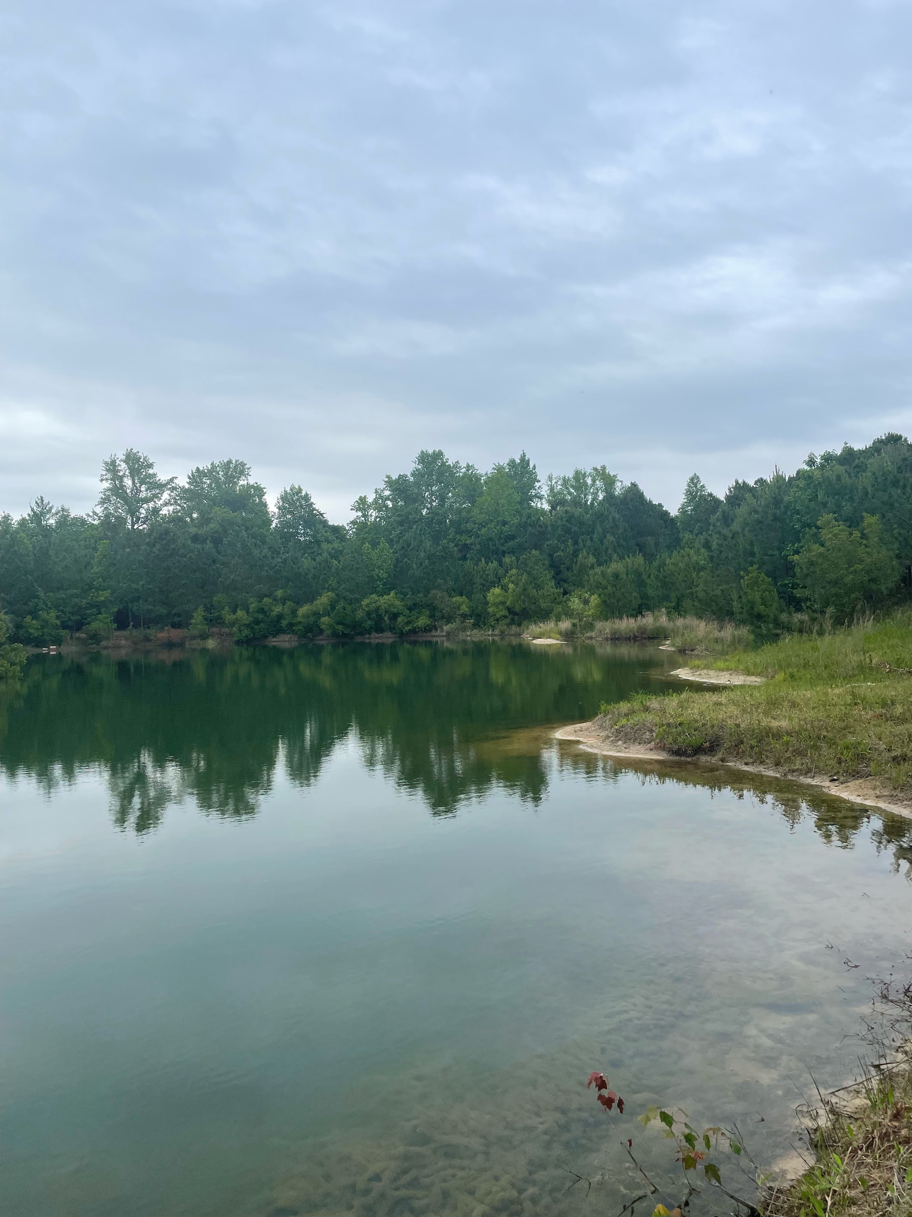 Pasture Creek Farms
