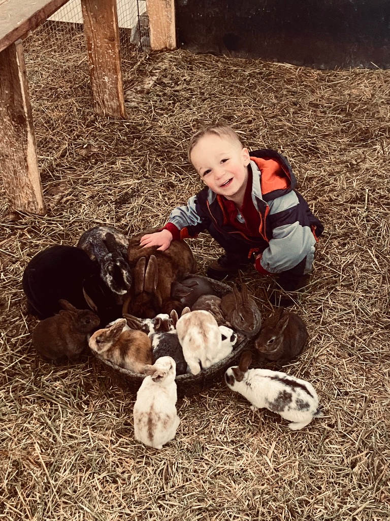 Funny Farm Homestead