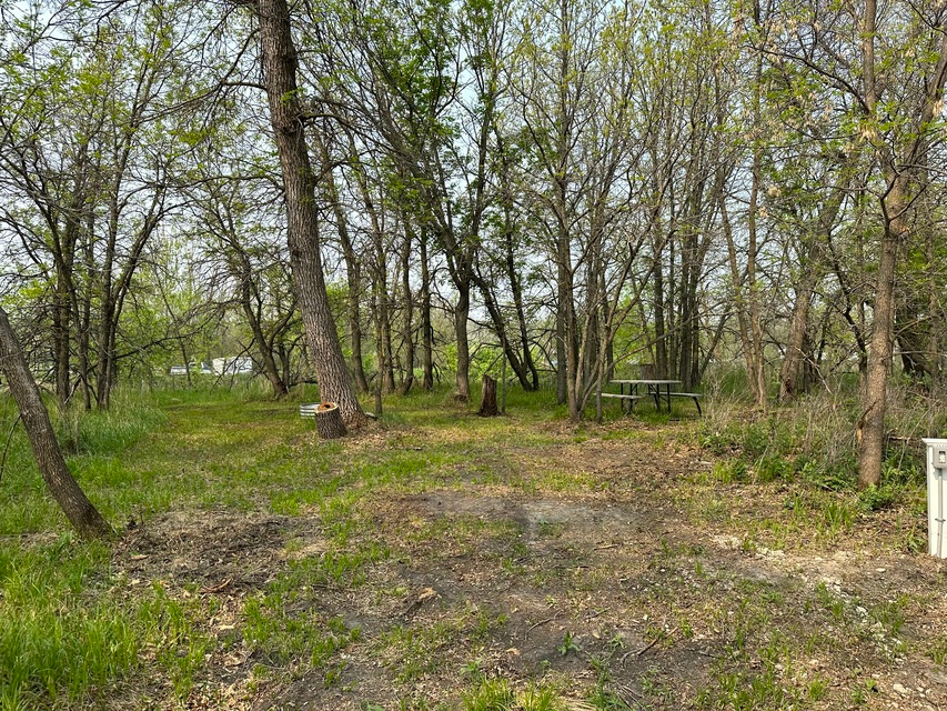 Mellow Moose Campground