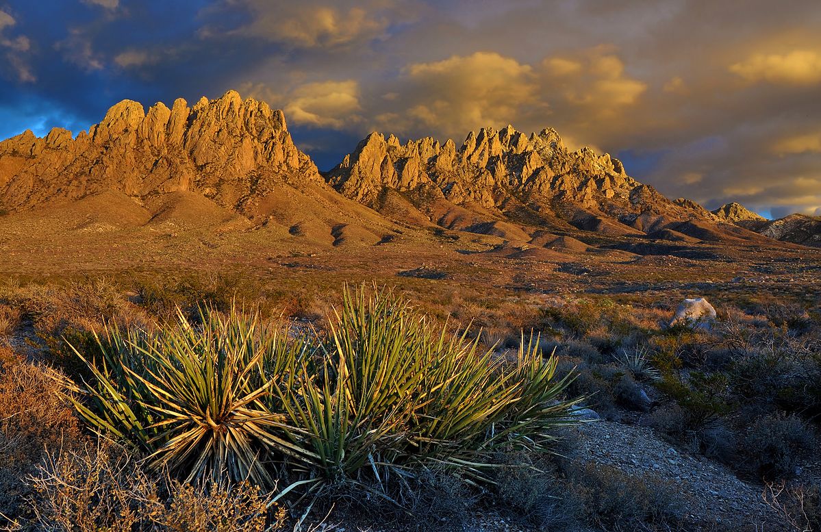 Organ Mountains-Desert Peaks National Monument