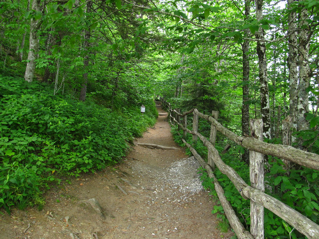 Appalachian Trail