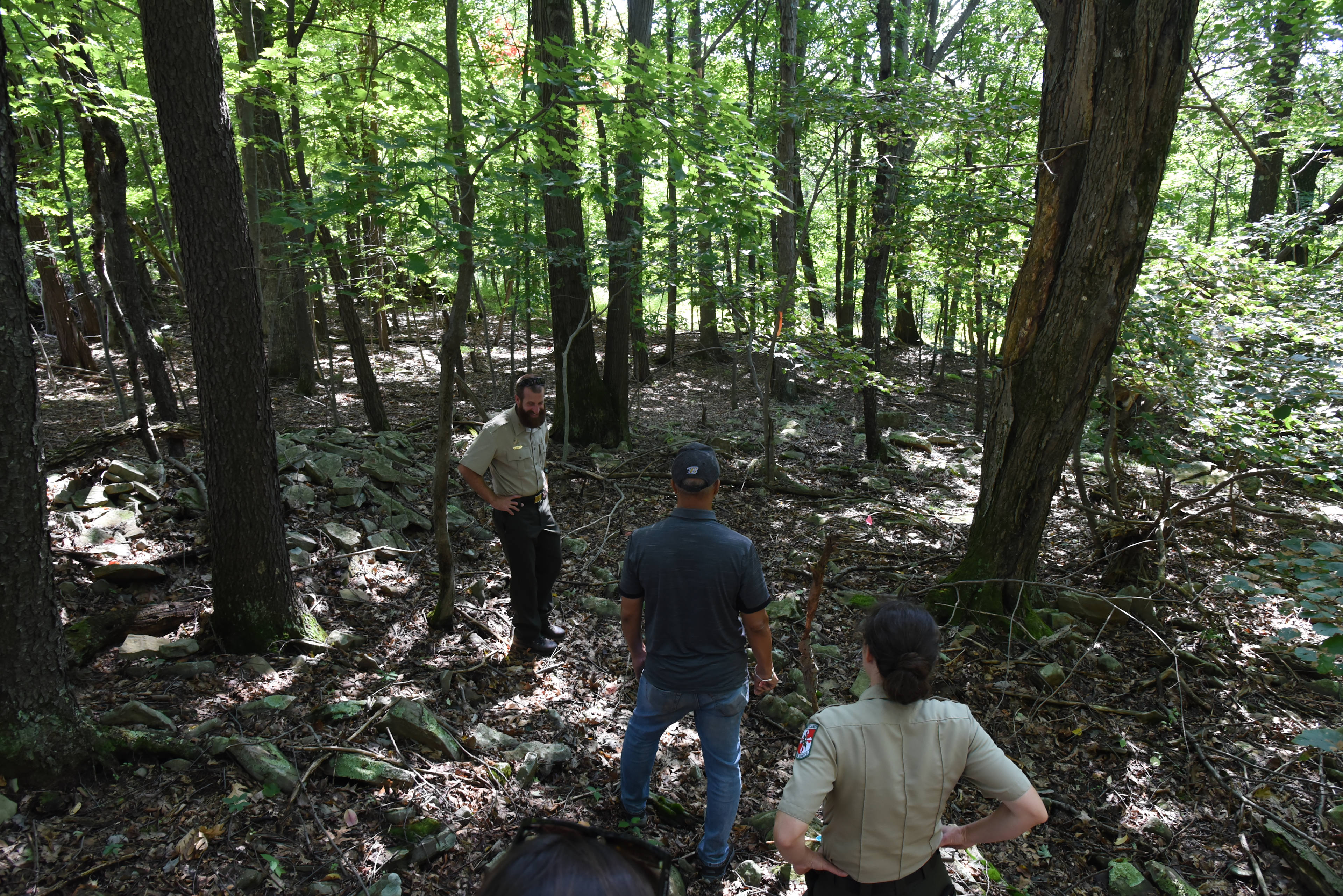 Dans Mountain State Park