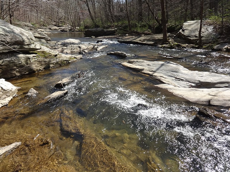 Morgan Run Natural Environment Area