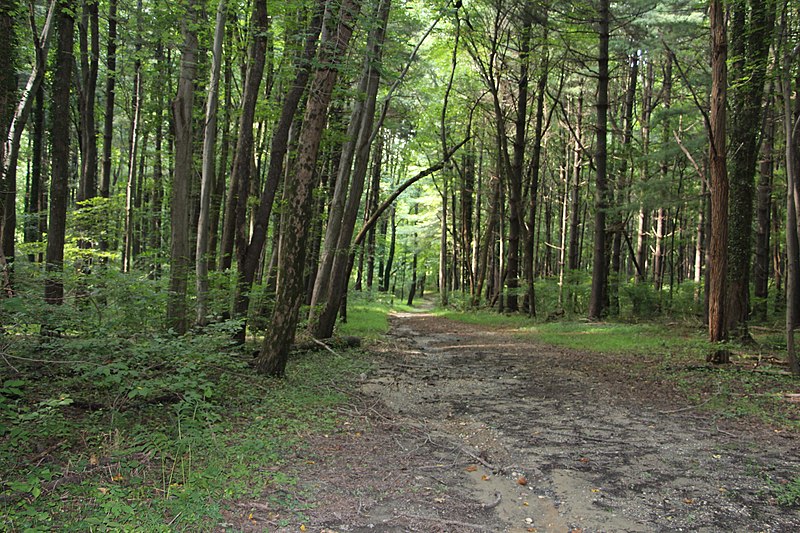 Rosaryville State Park