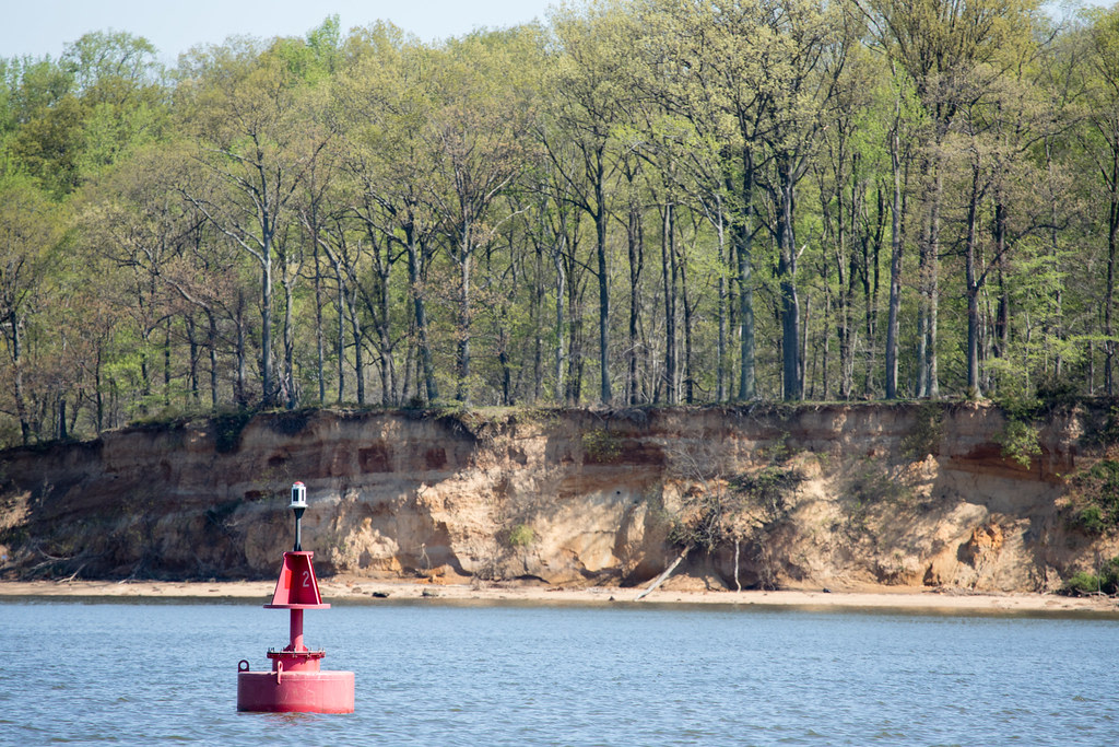 Sassafras Natural Resources Management Area