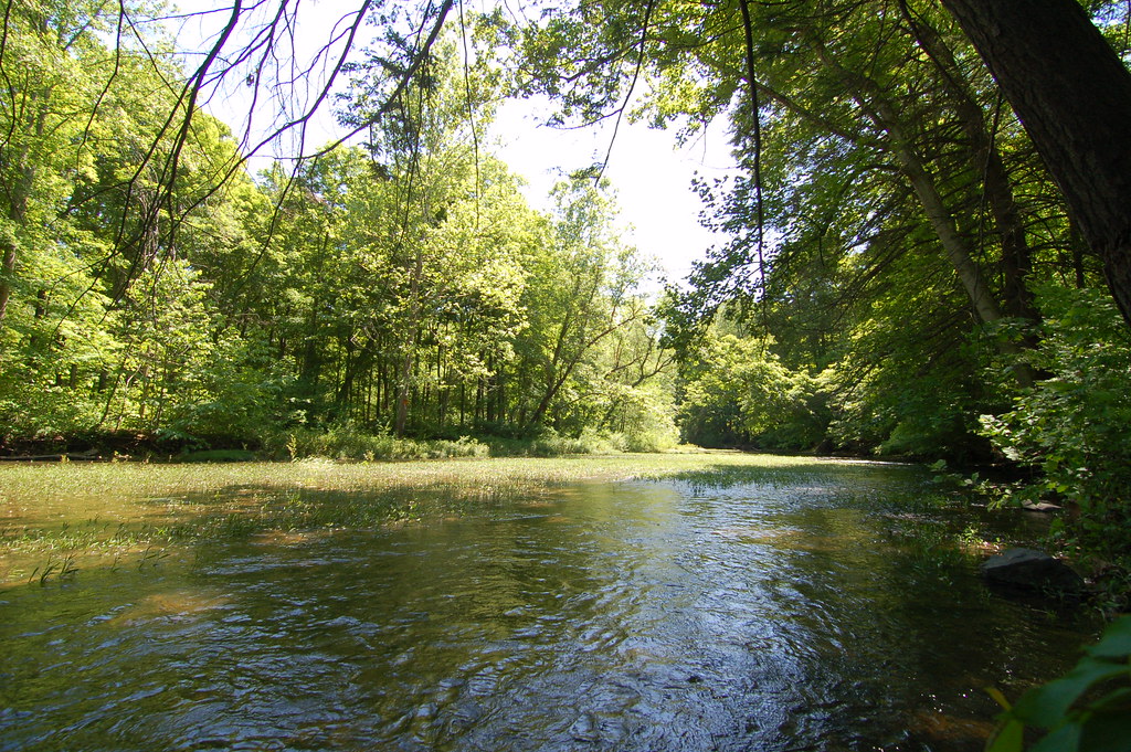 Sideling Hill Creek State Park