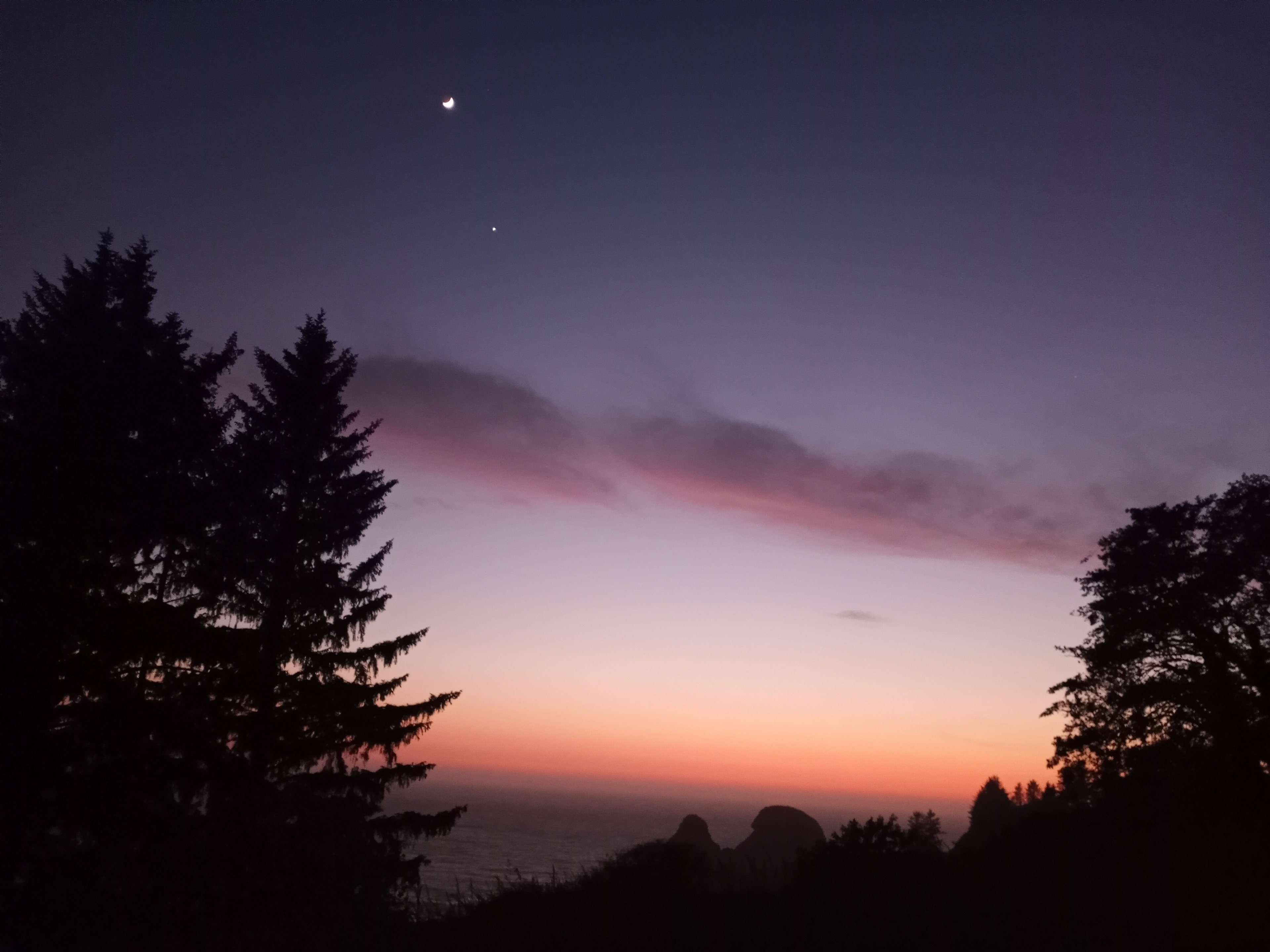 Woods, Waves & Wags/Hipcamp