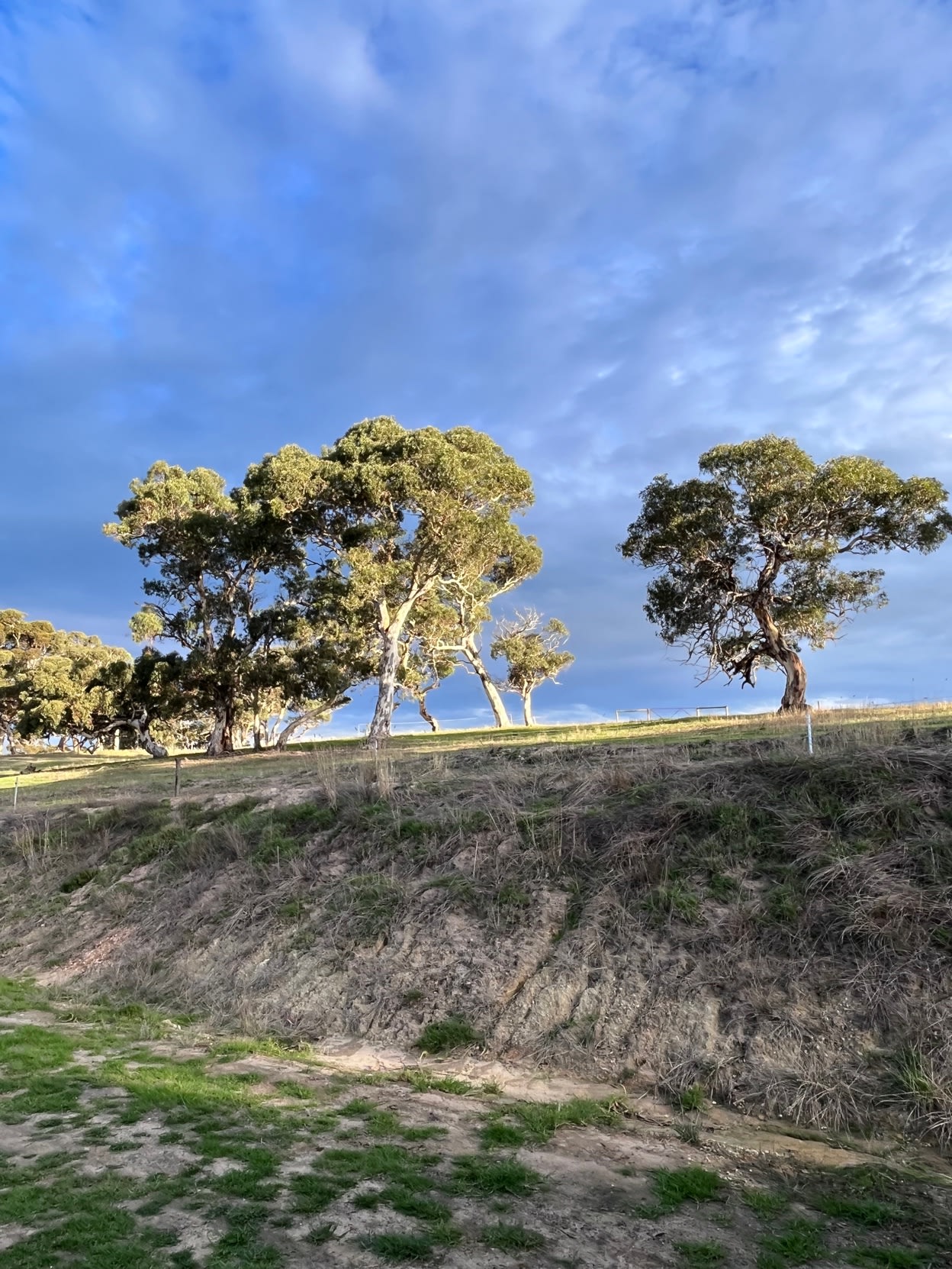 Bunny Beach Farm Stay
