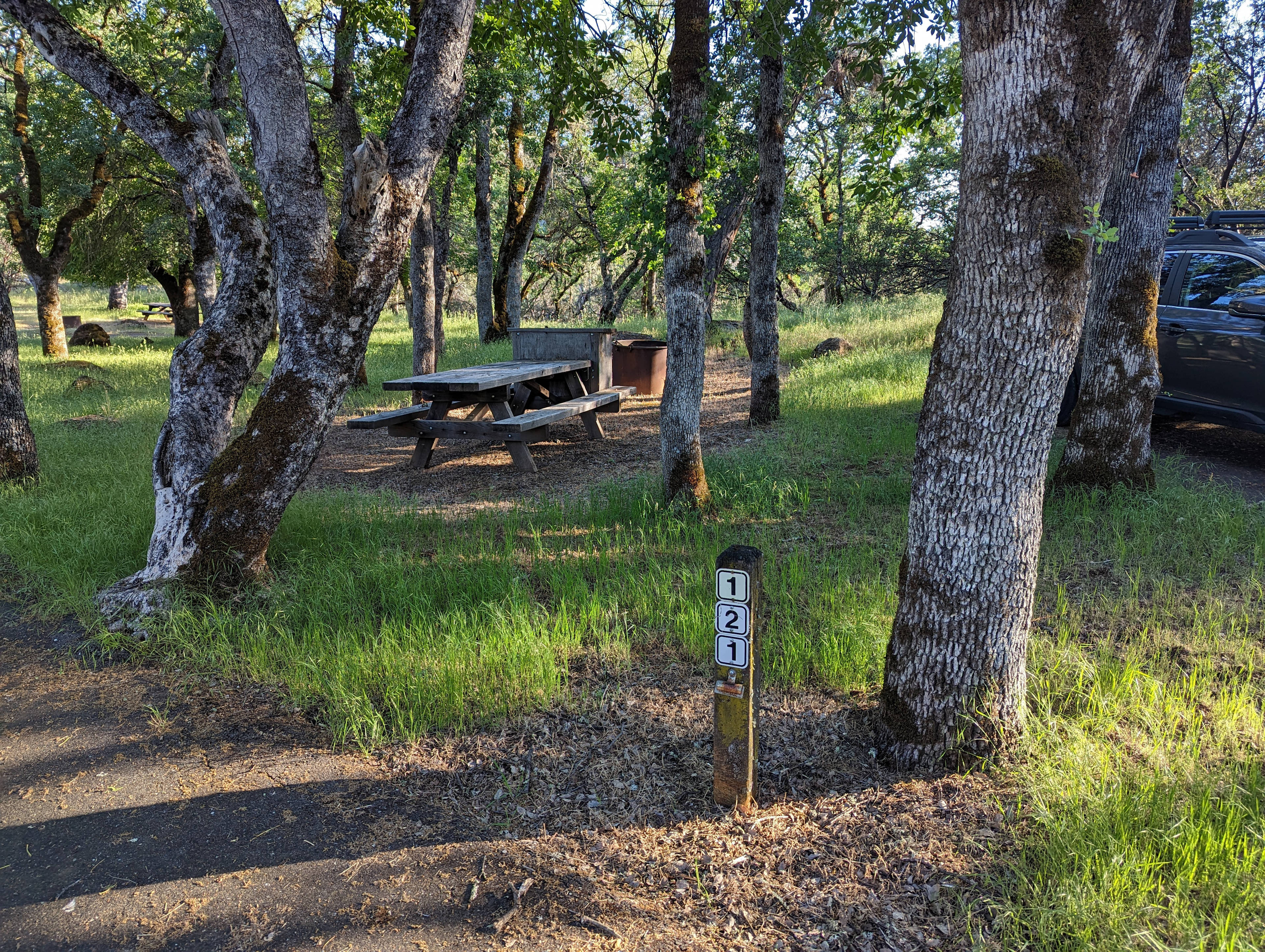 Upper Bayview. mid May