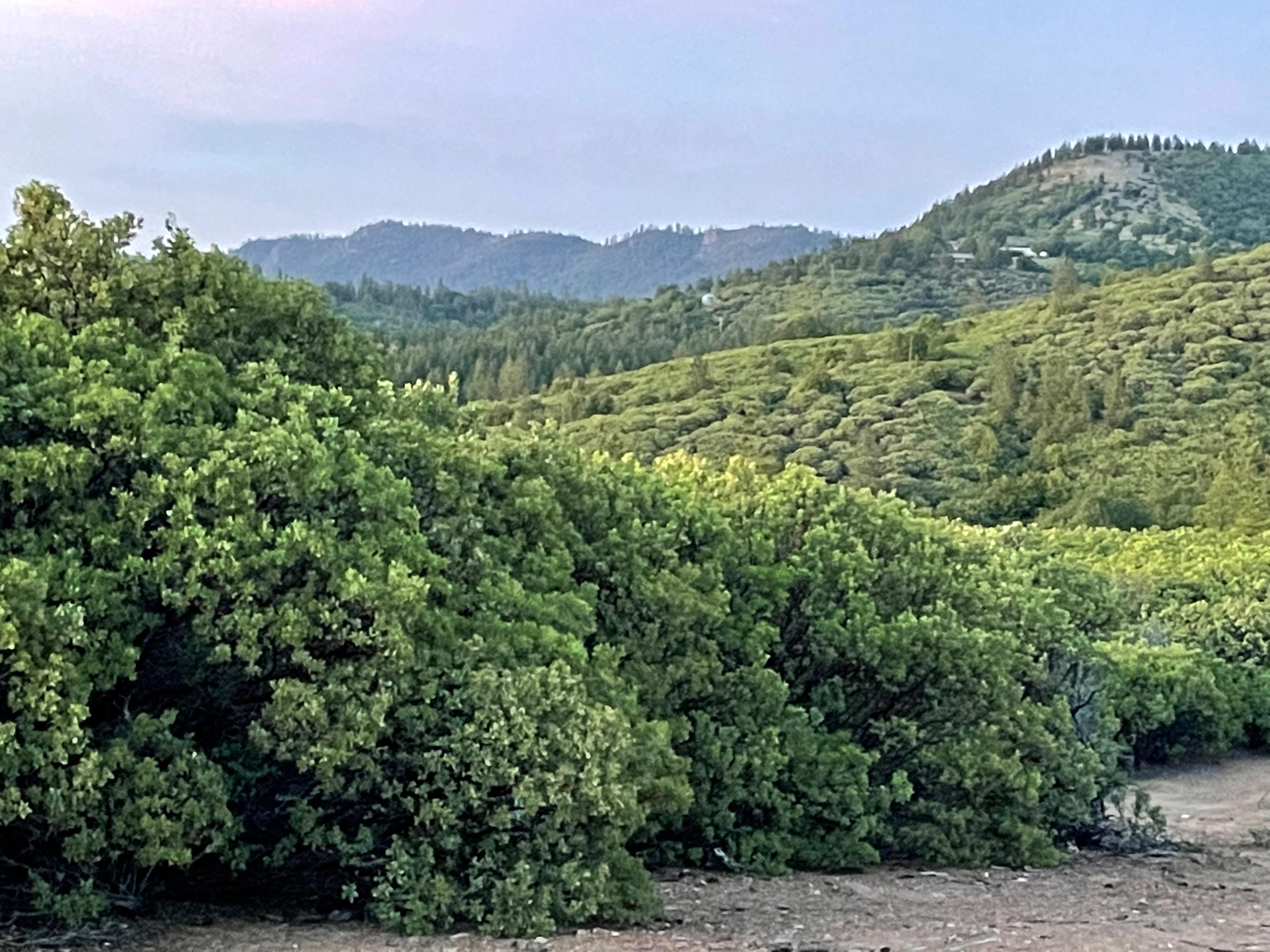 Mighty Farm & Camp