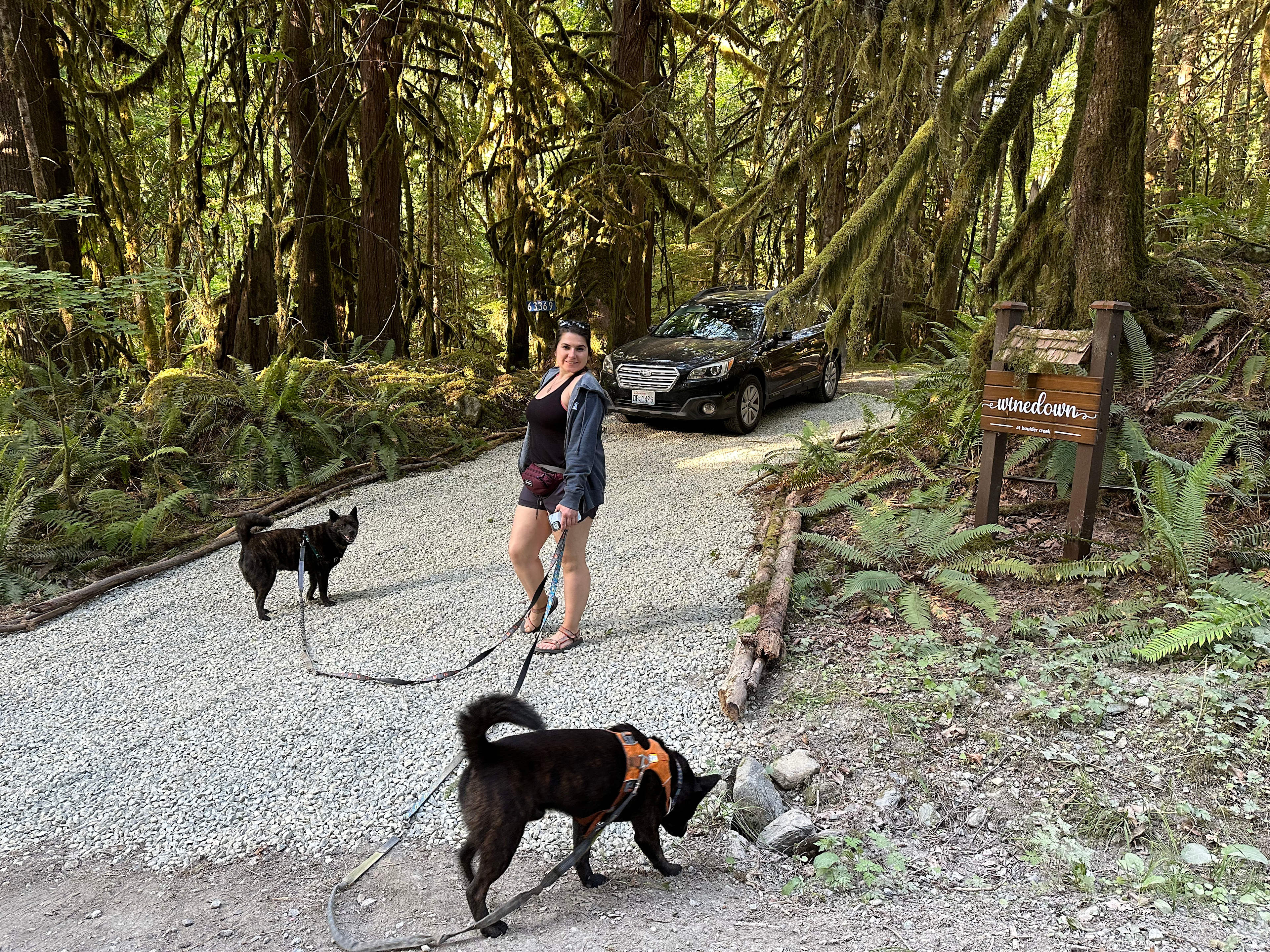 Winedown Camp at Boulder Creek