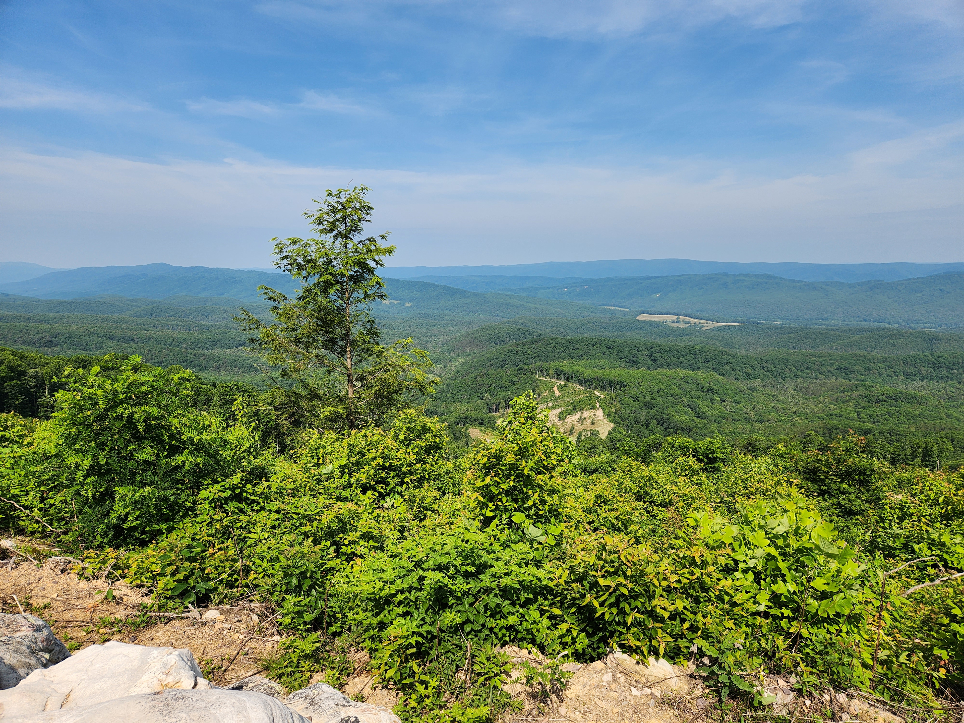 View from the Ridge April 2023.