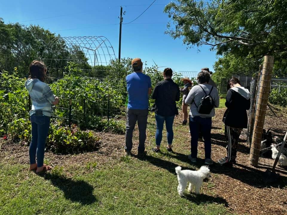 Freedom Harvest Farms