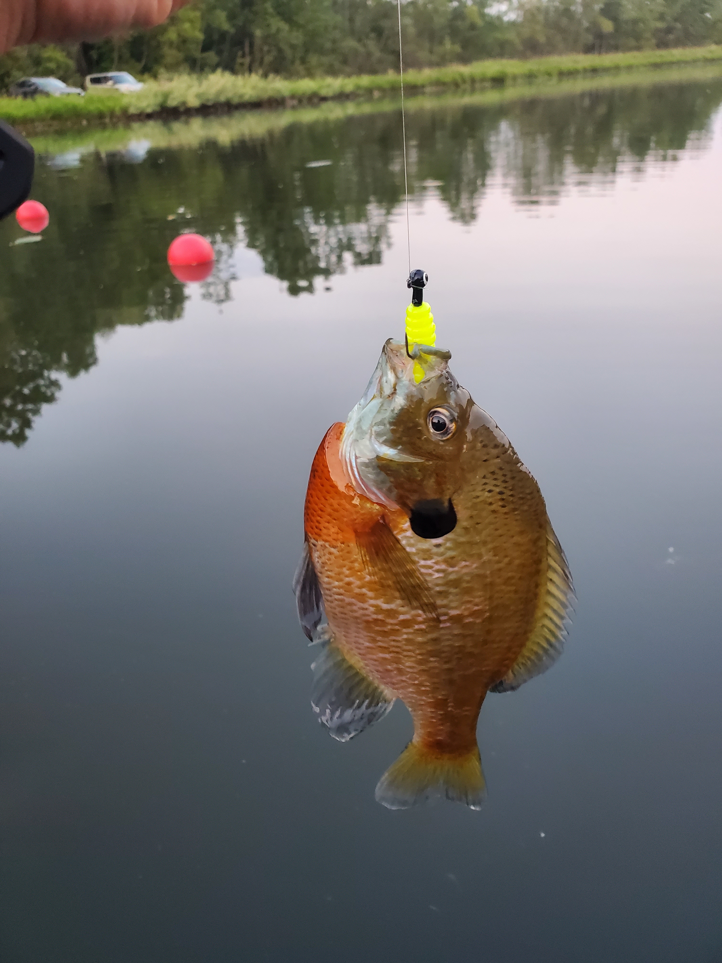 The Pleasant Valley Farm