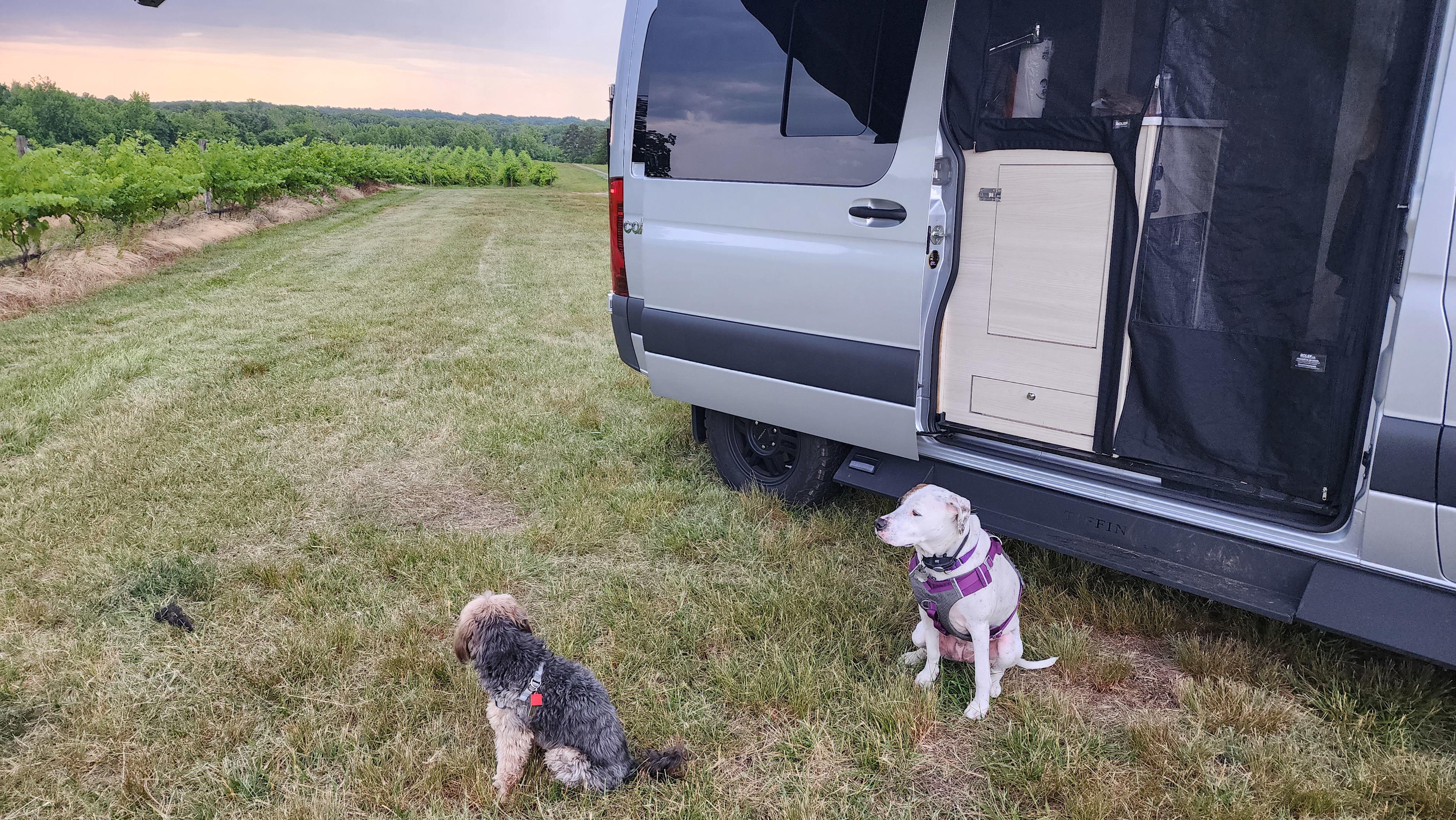 Blevins Family Vineyards