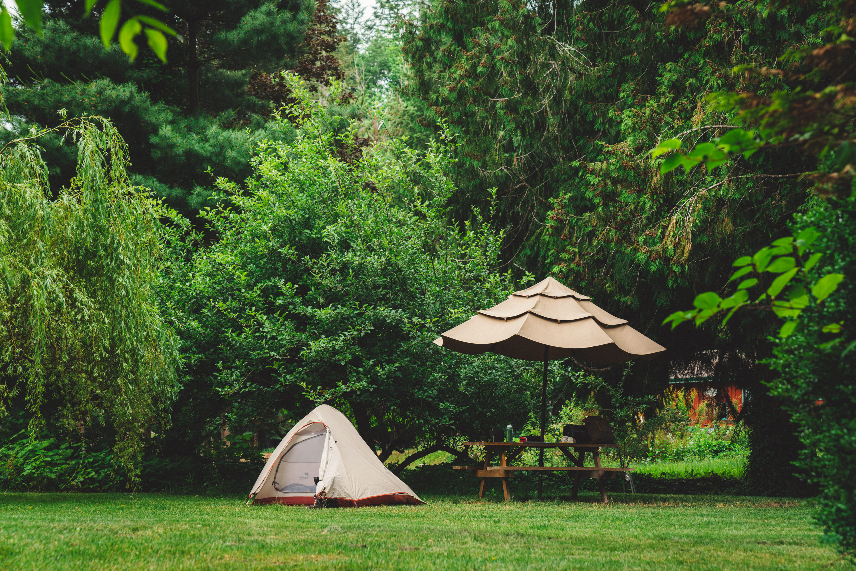 Living Large on Chilliwack River
