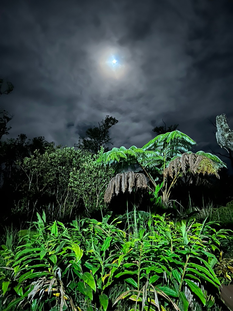 Yip Camp and Eco-Retreat Center