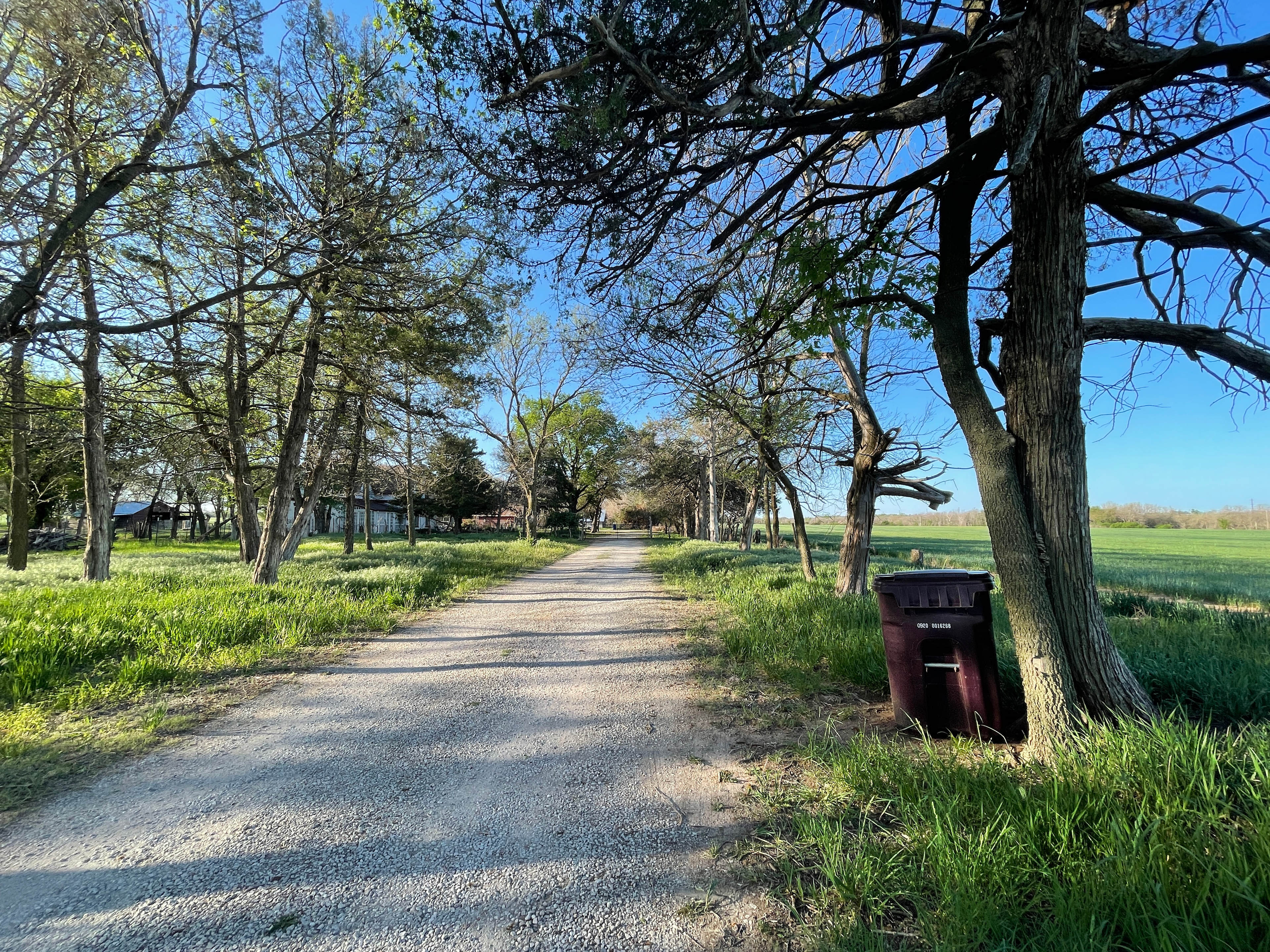 Our Little Grove