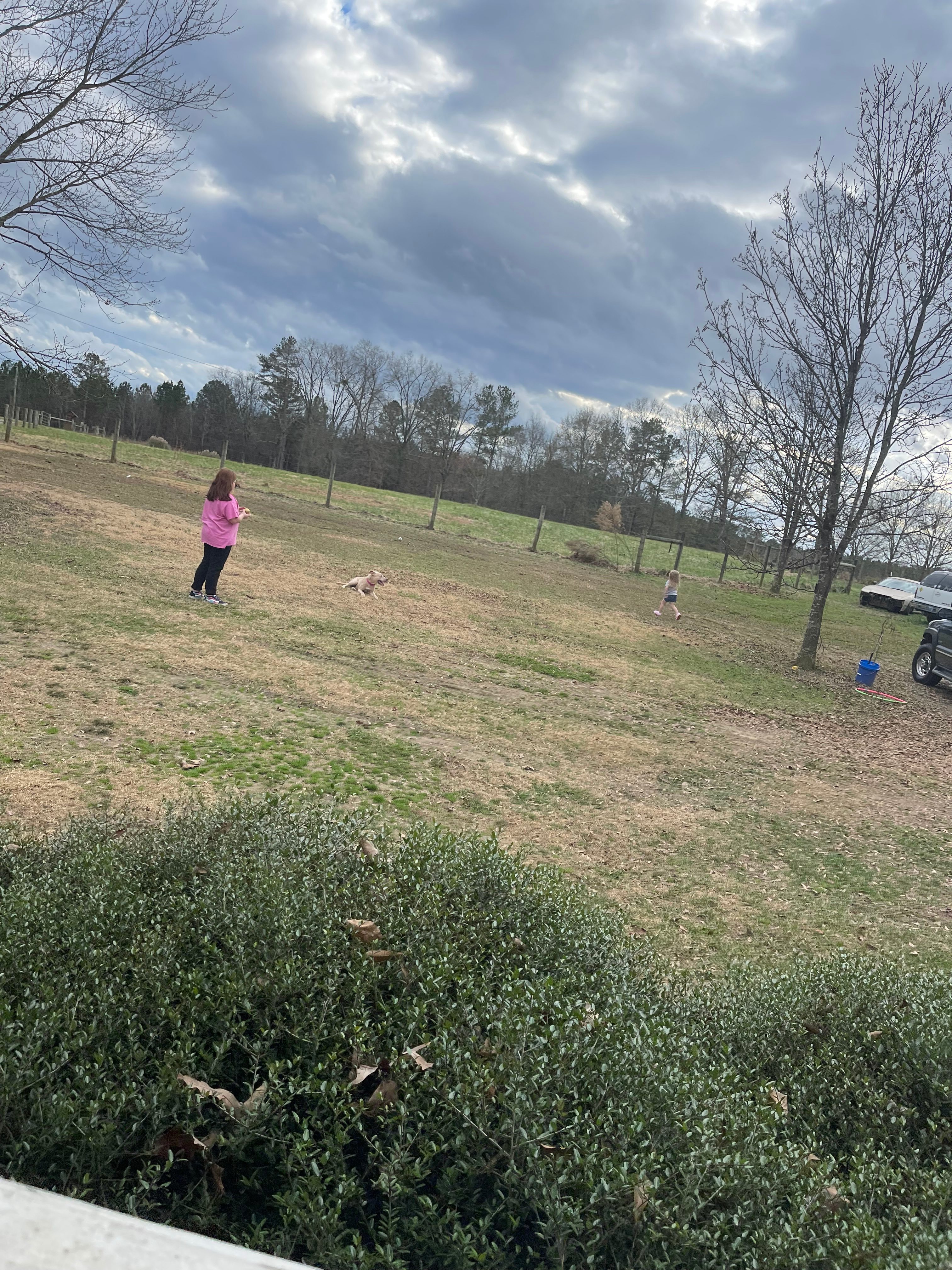 Lucky 7 Ranch