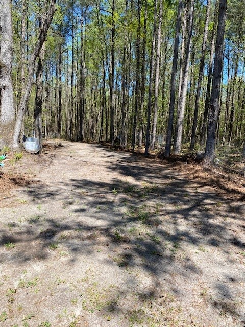 Slight pitch, 45x20 spot